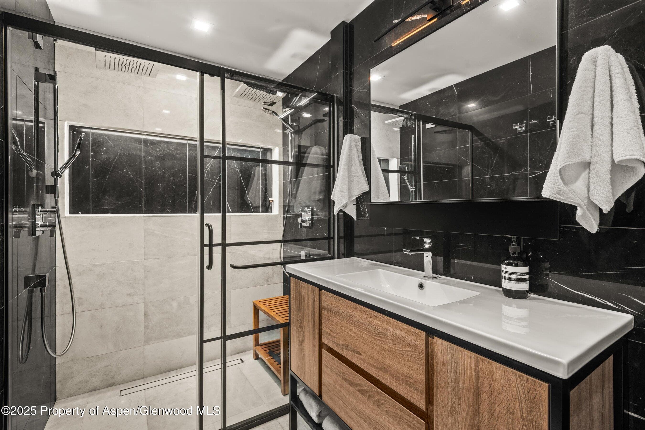 725 E Durant Avenue 22, Aspen, CO 81611 - Photo 11