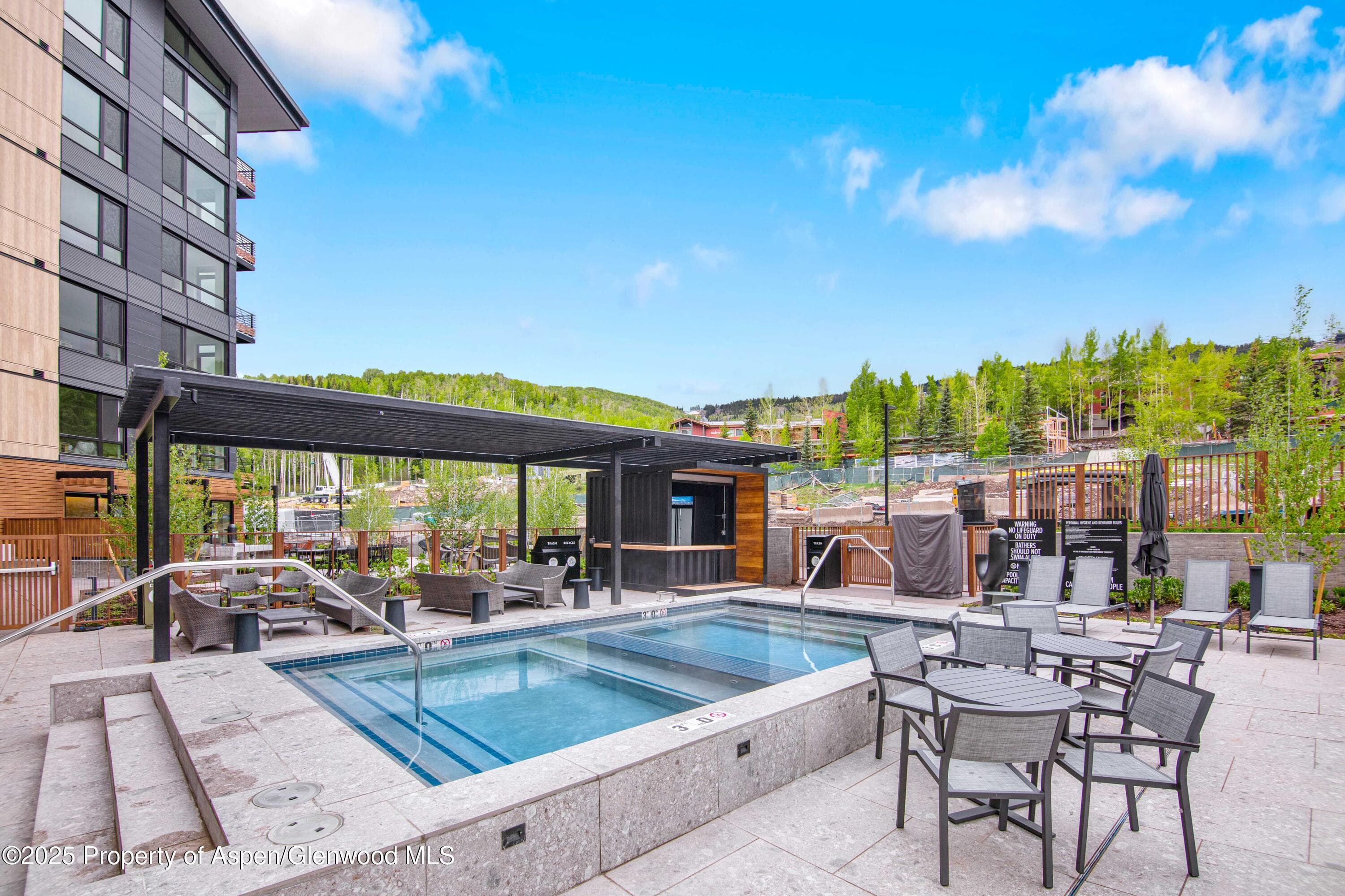 119 Wood Road 207, Snowmass Village, CO 81615 - Photo 23