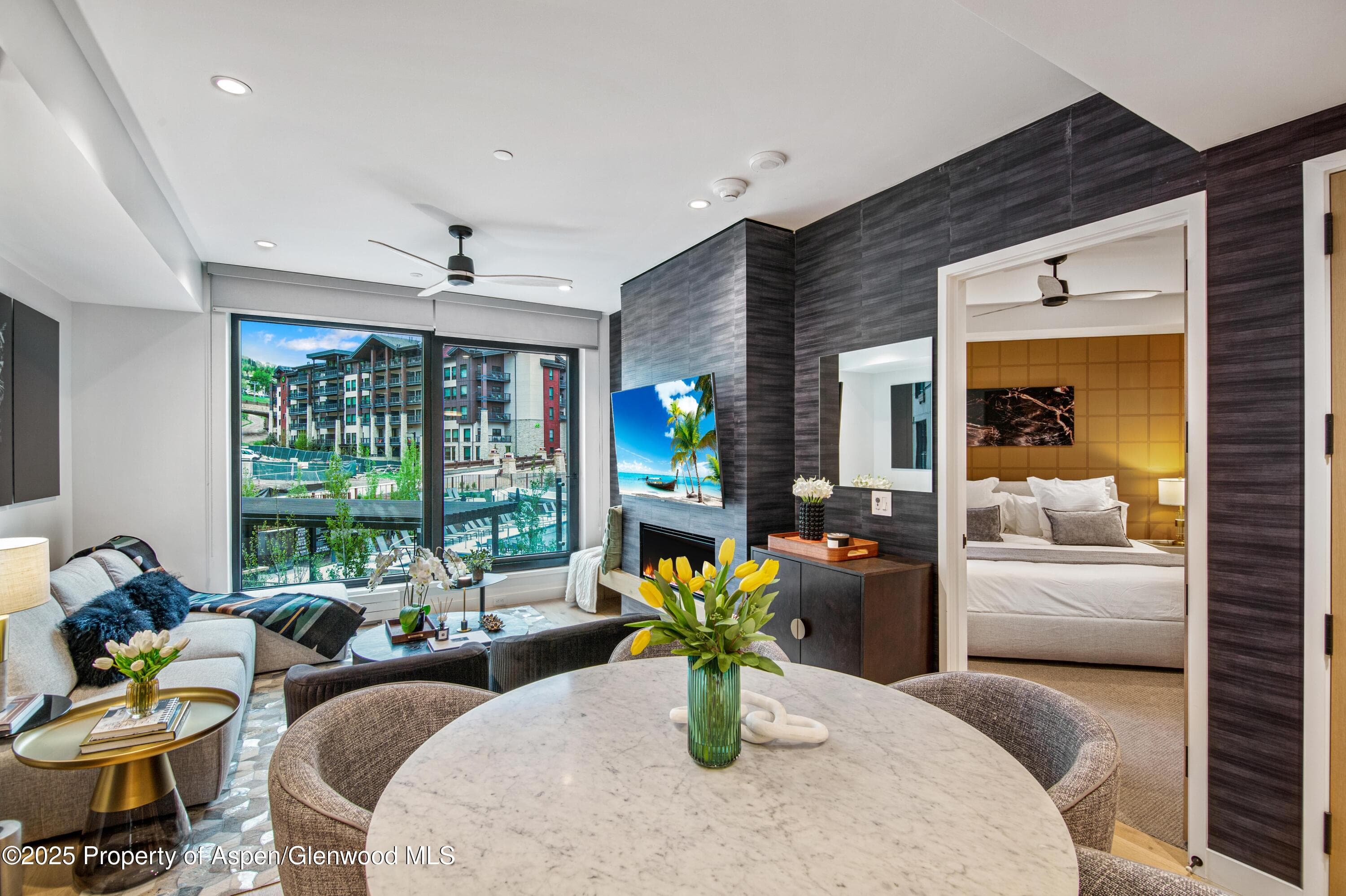 119 Wood Road 207, Snowmass Village, CO 81615 - Photo 9