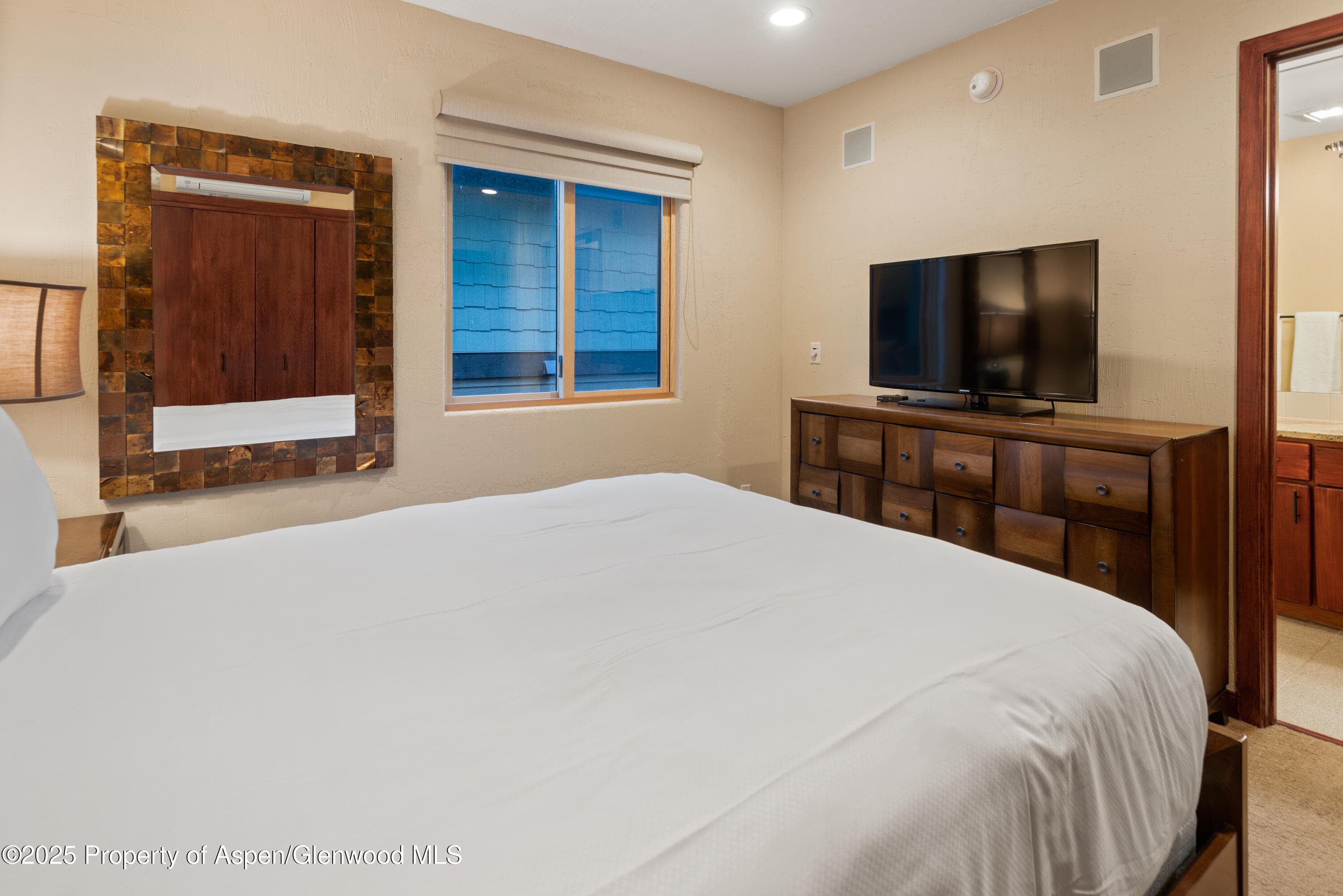 650 S Monarch Street Unit 4, Aspen, CO 81611 - Photo 29