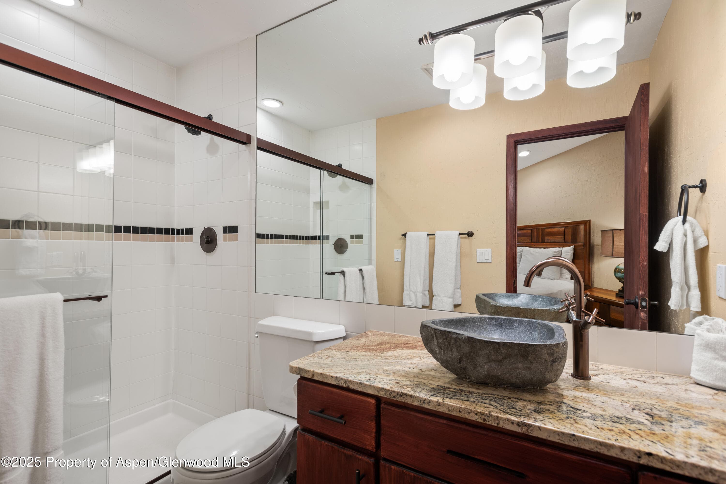 650 S Monarch Street Unit 4, Aspen, CO 81611 - Photo 30