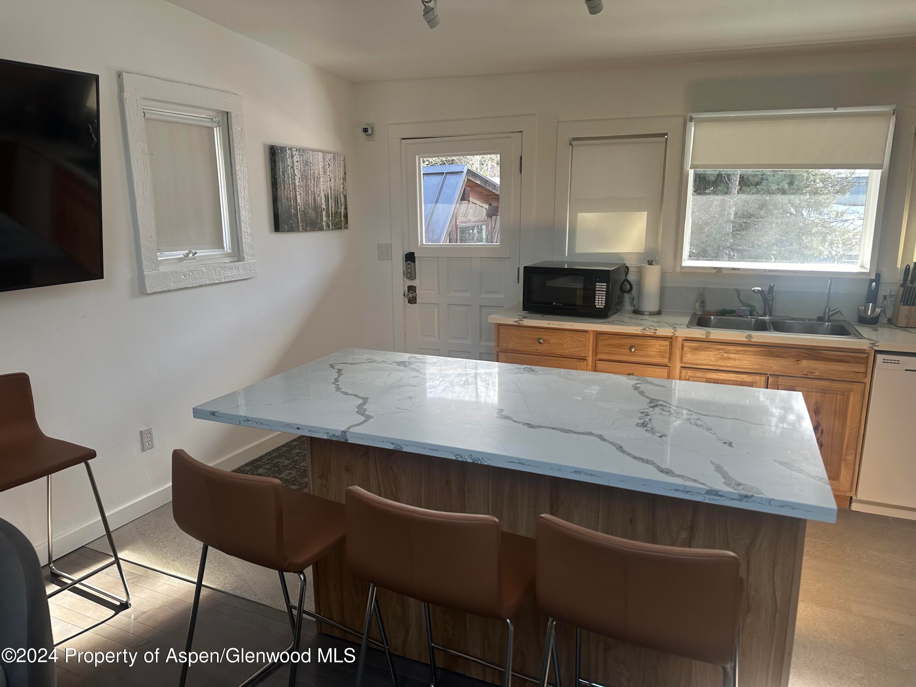 560 Spruce Street, Aspen, CO 81611 - Photo 26