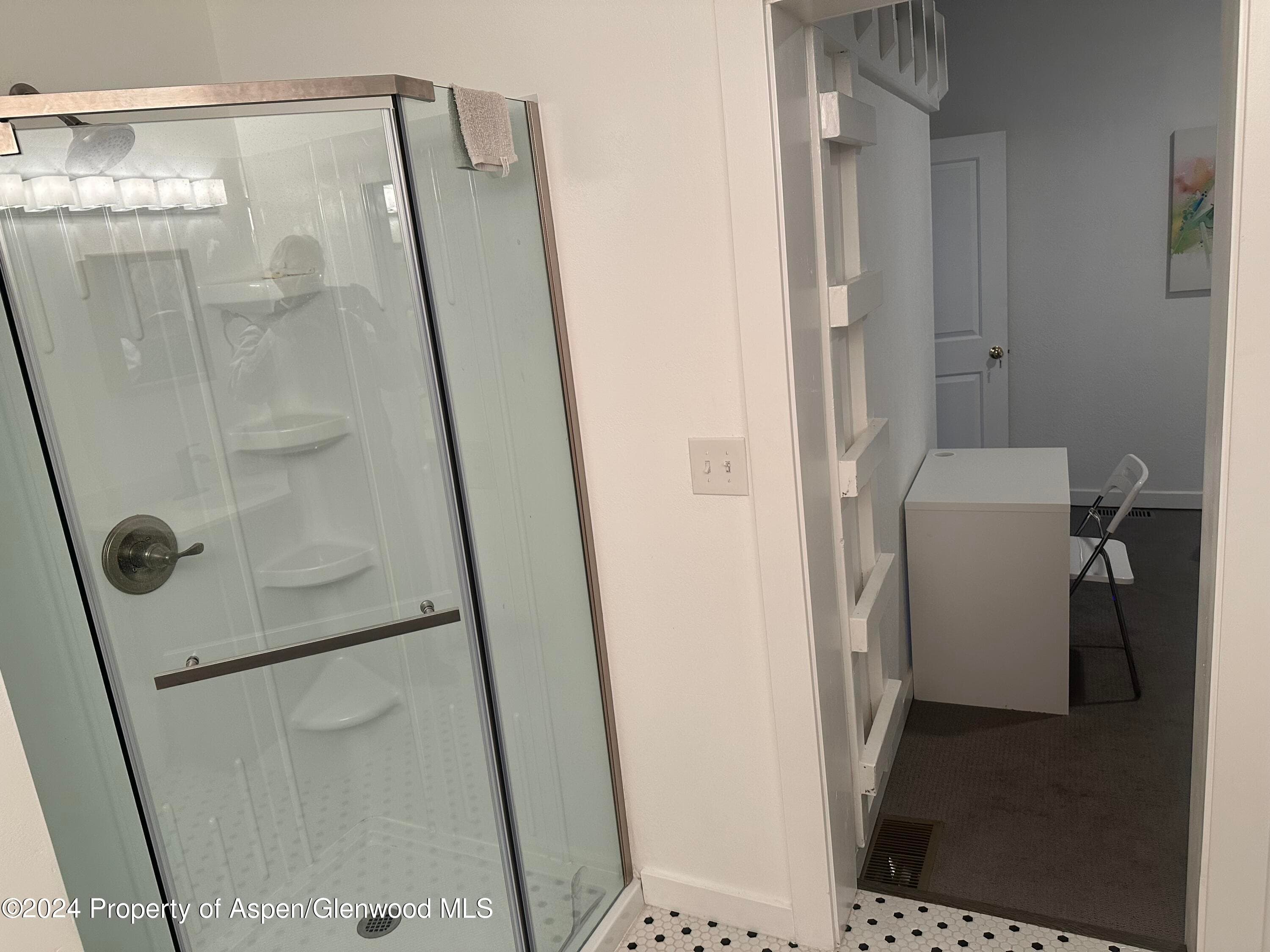 560 Spruce Street, Aspen, CO 81611 - Photo 34