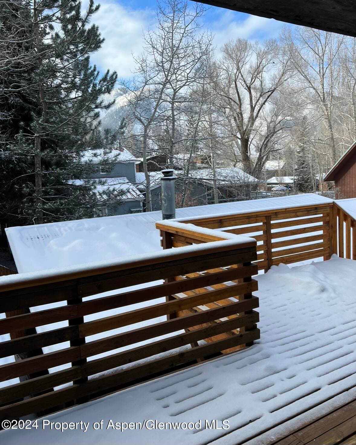 560 Spruce Street, Aspen, CO 81611 - Photo 45