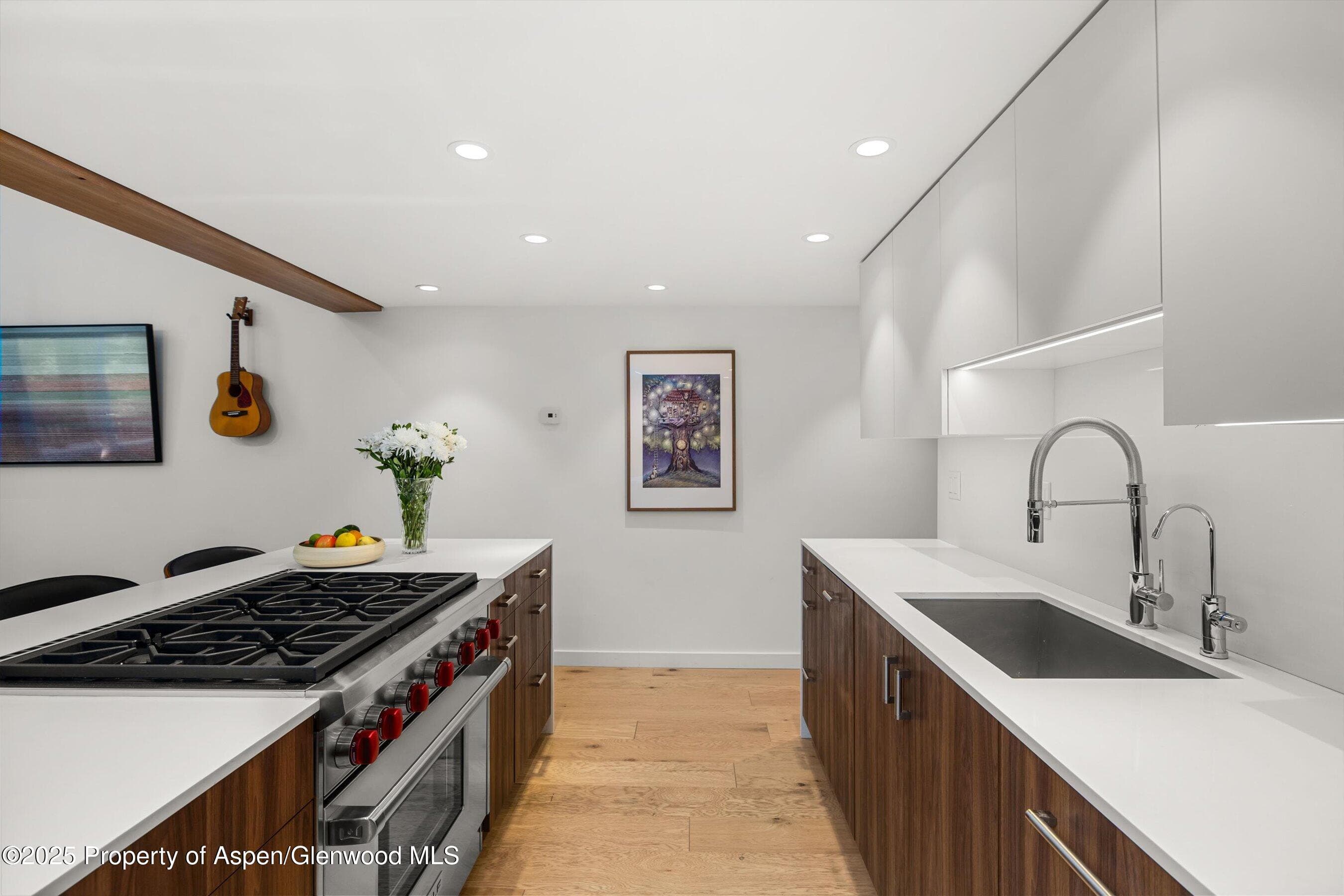 800 S Mill Street 303C, Aspen, CO 81611 - Photo 9