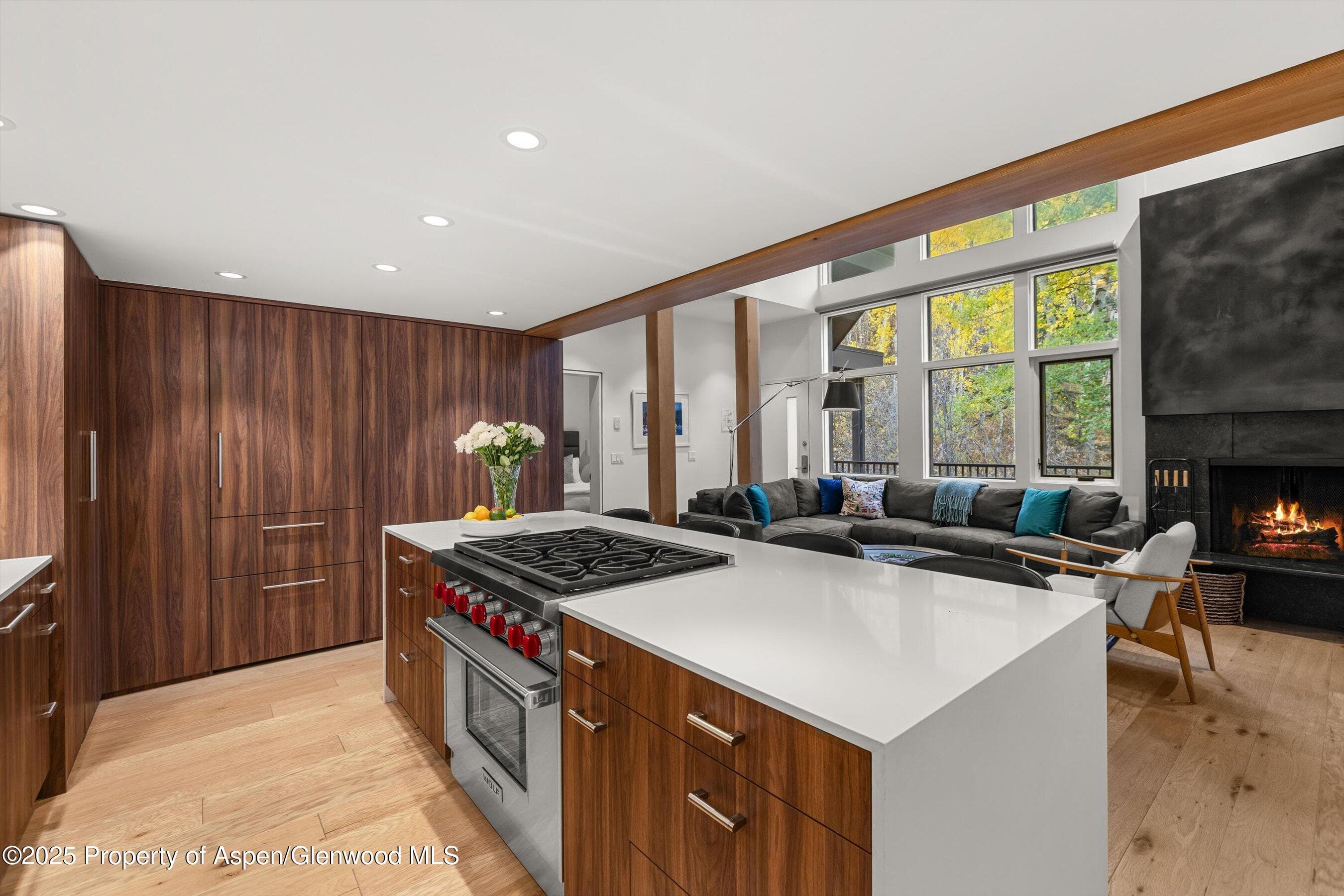 800 S Mill Street 303C, Aspen, CO 81611 - Photo 10