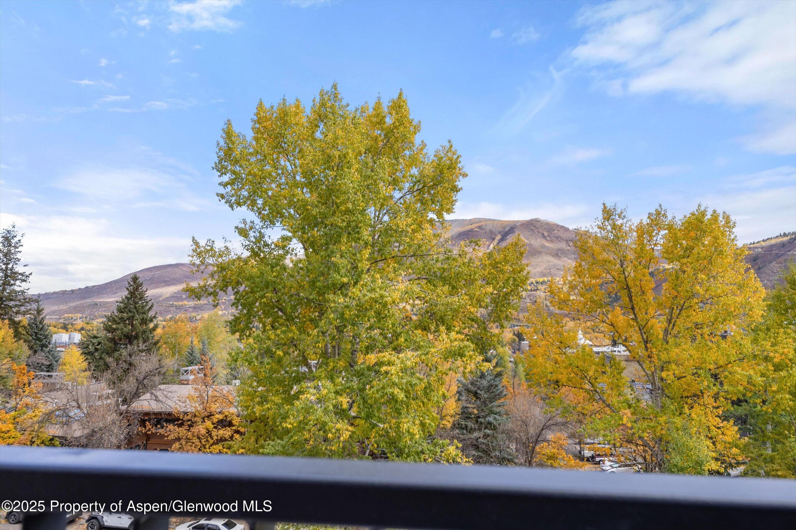 800 S Mill Street 303C, Aspen, CO 81611 - Photo 19