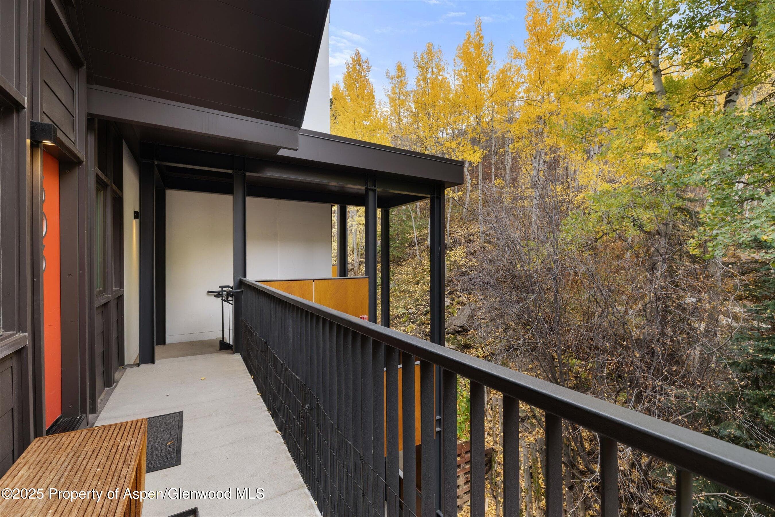 800 S Mill Street 303C, Aspen, CO 81611 - Photo 30