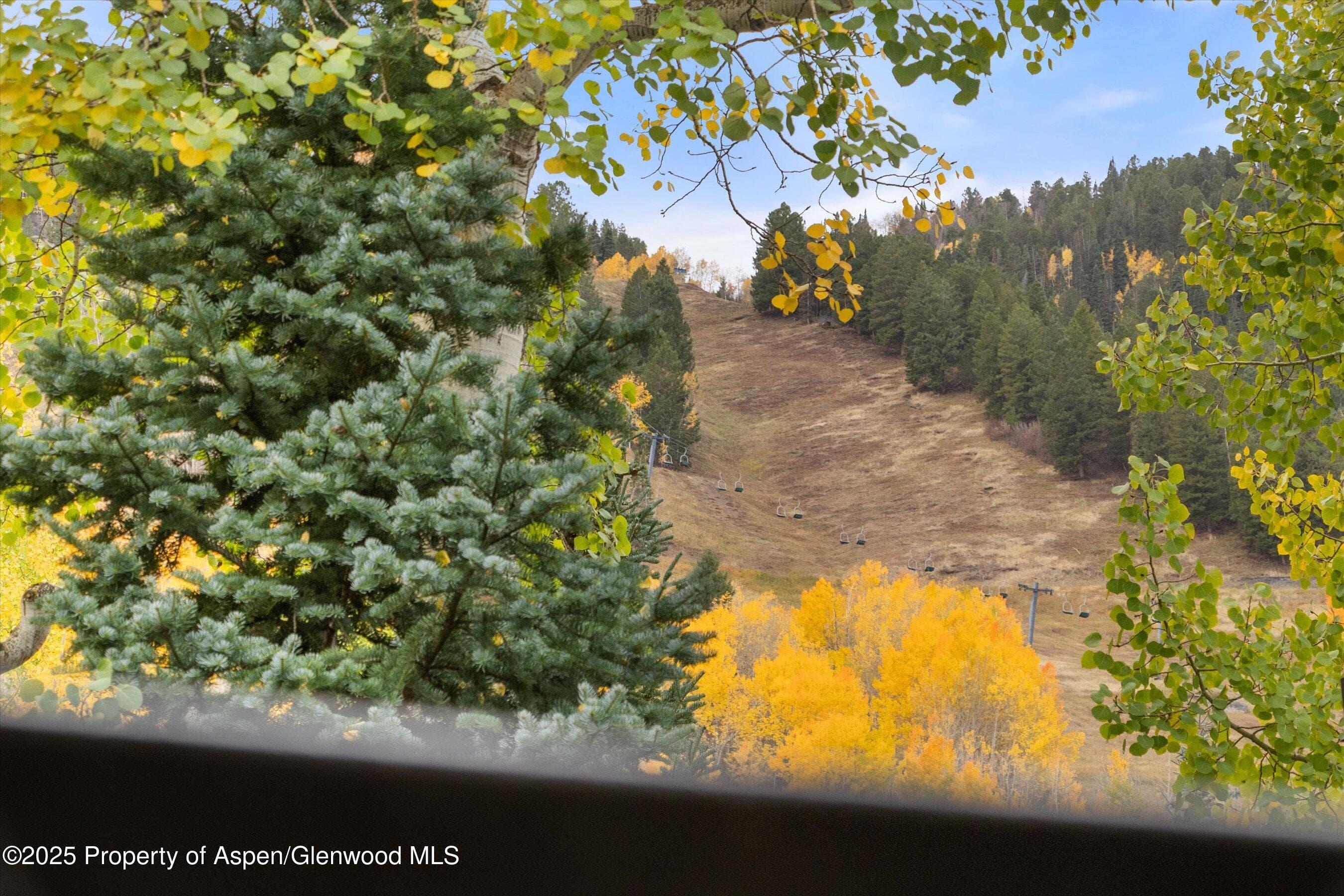 800 S Mill Street 303C, Aspen, CO 81611 - Photo 31