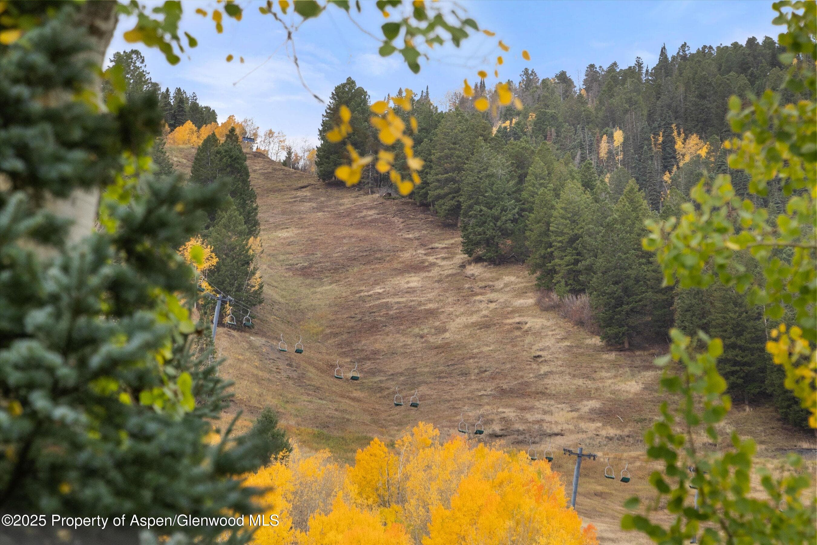 800 S Mill Street 303C, Aspen, CO 81611 - Photo 32