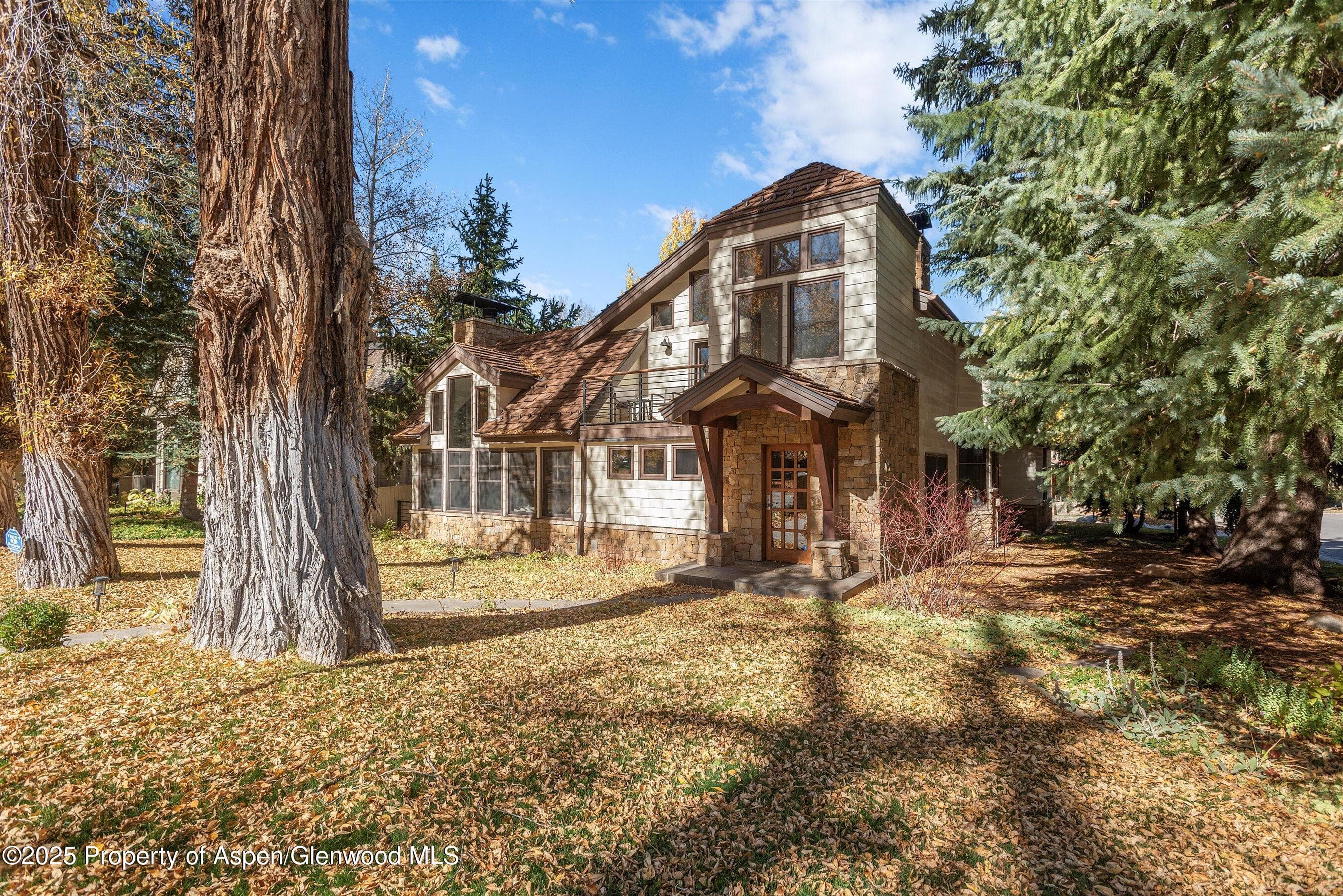 602 W Hallam Street, Aspen, CO 81611 - Photo 3