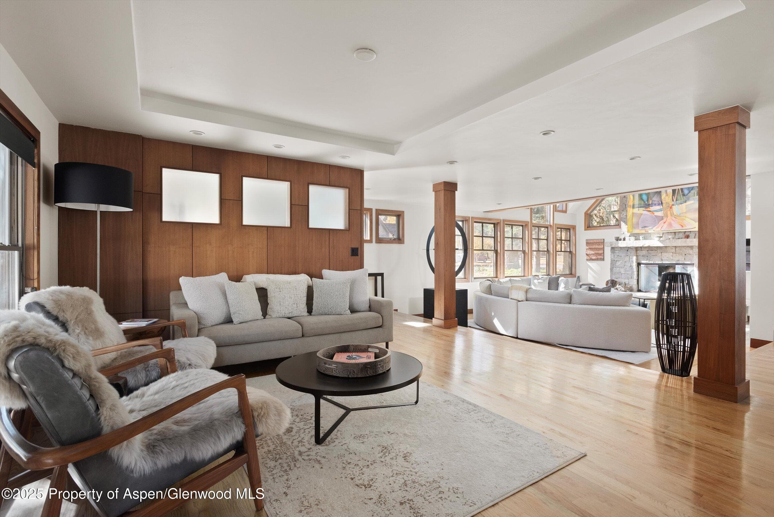 602 W Hallam Street, Aspen, CO 81611 - Photo 8