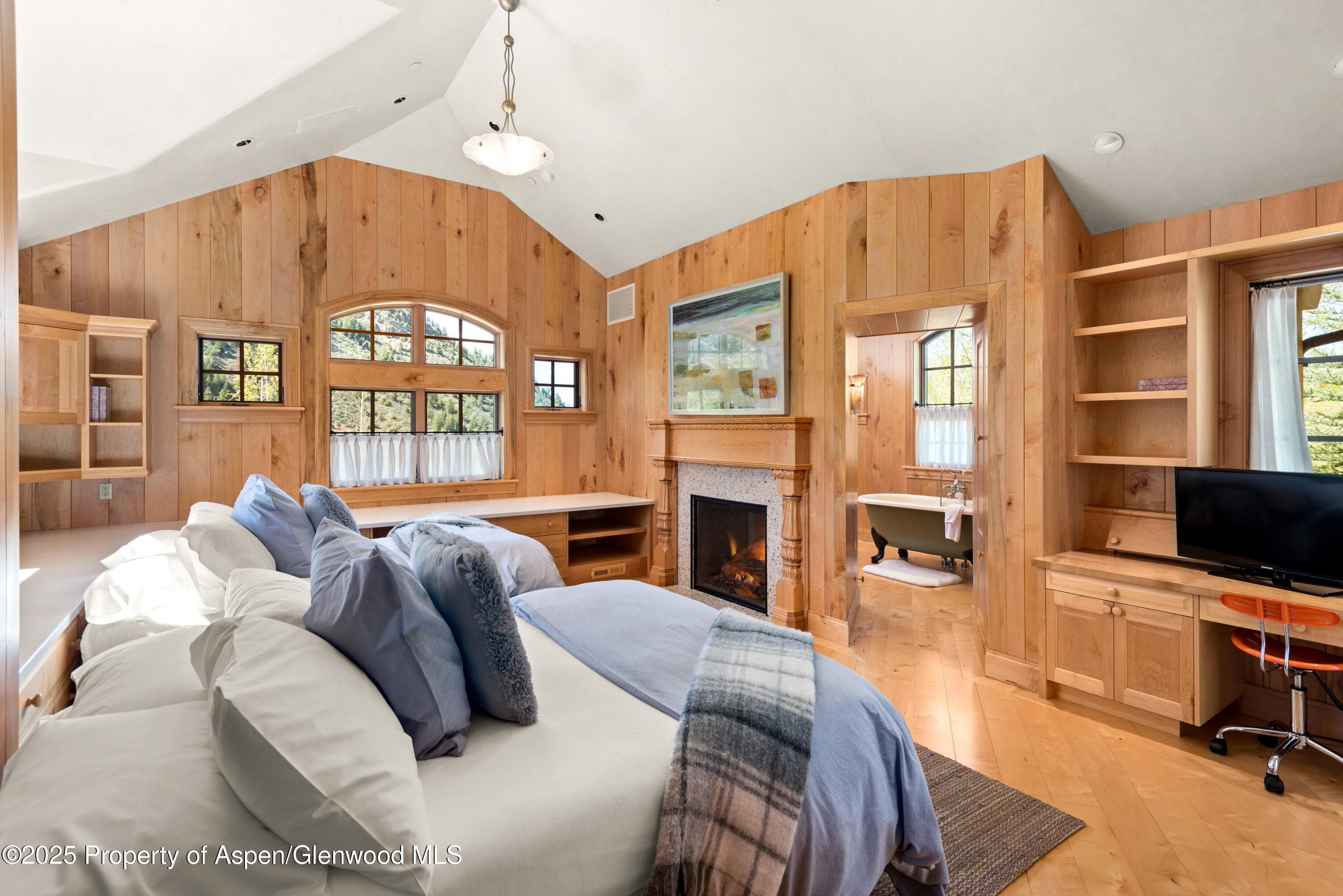 388 Exhibition Lane, Aspen, CO 81611 - Photo 17