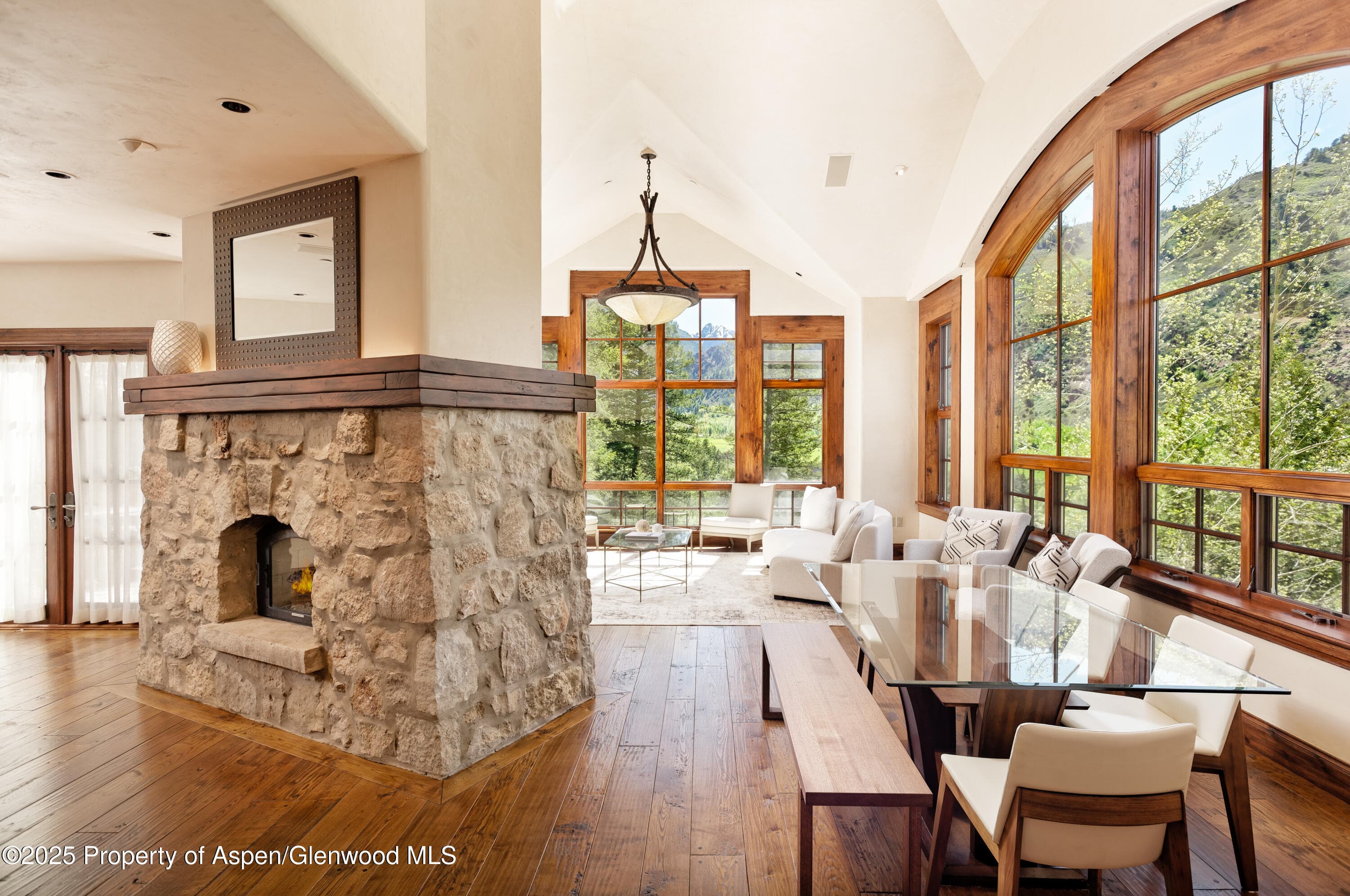 388 Exhibition Lane, Aspen, CO 81611 - Photo 4