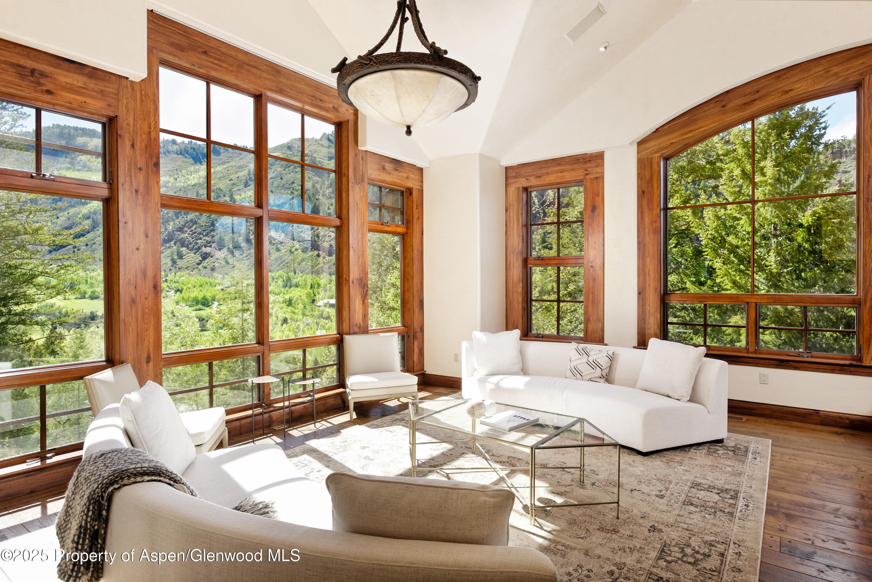 388 Exhibition Lane, Aspen, CO 81611 - Photo 3