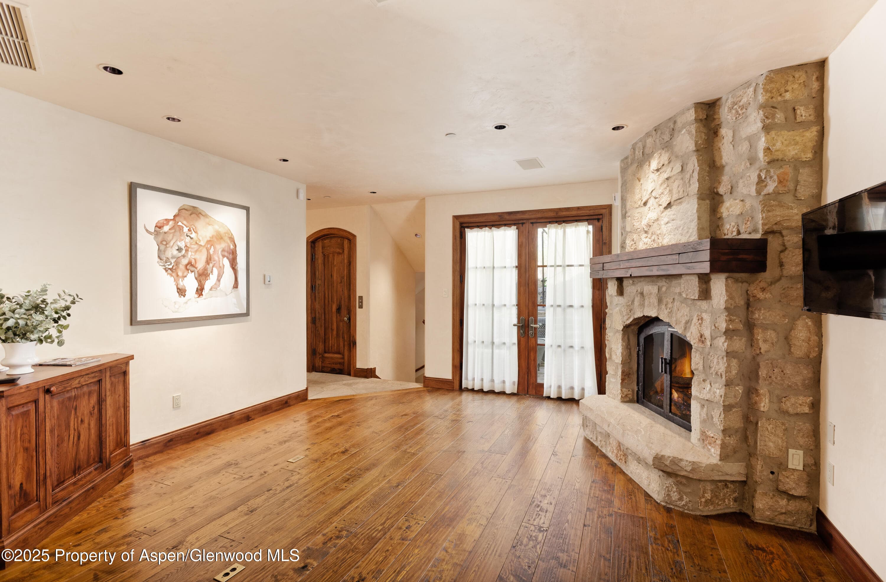 388 Exhibition Lane, Aspen, CO 81611 - Photo 12