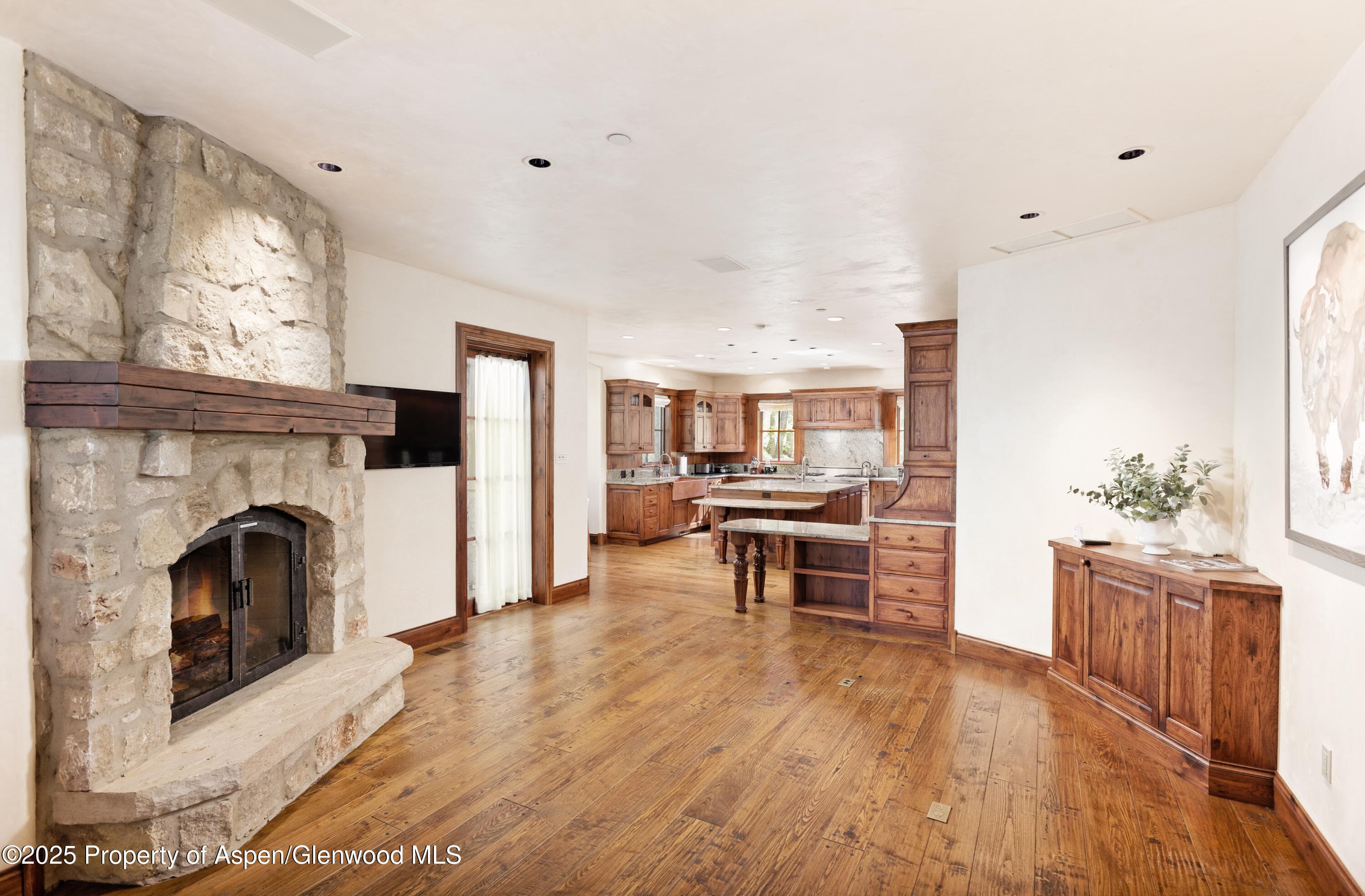 388 Exhibition Lane, Aspen, CO 81611 - Photo 13