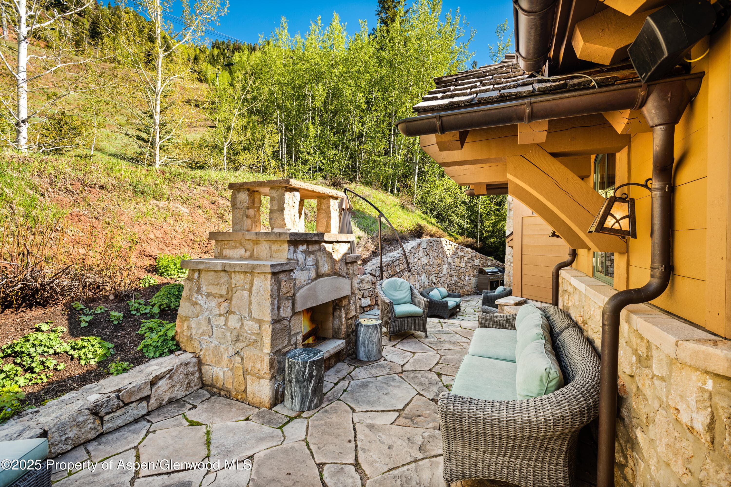388 Exhibition Lane, Aspen, CO 81611 - Photo 19