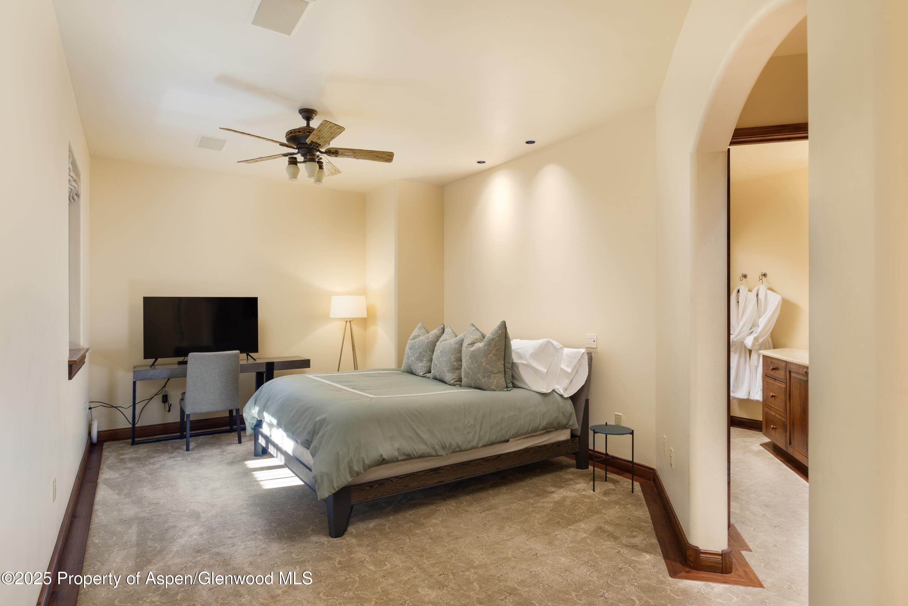 388 Exhibition Lane, Aspen, CO 81611 - Photo 34