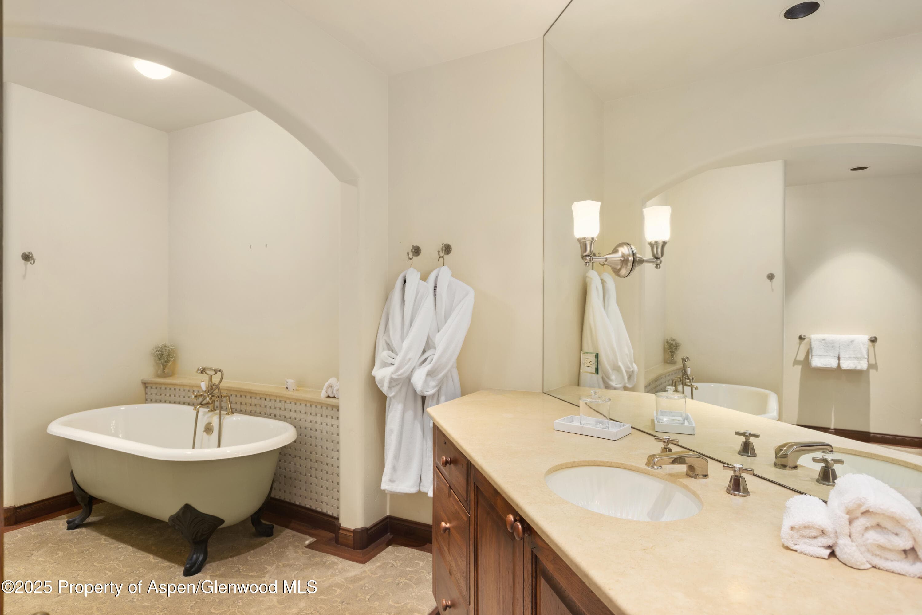 388 Exhibition Lane, Aspen, CO 81611 - Photo 35
