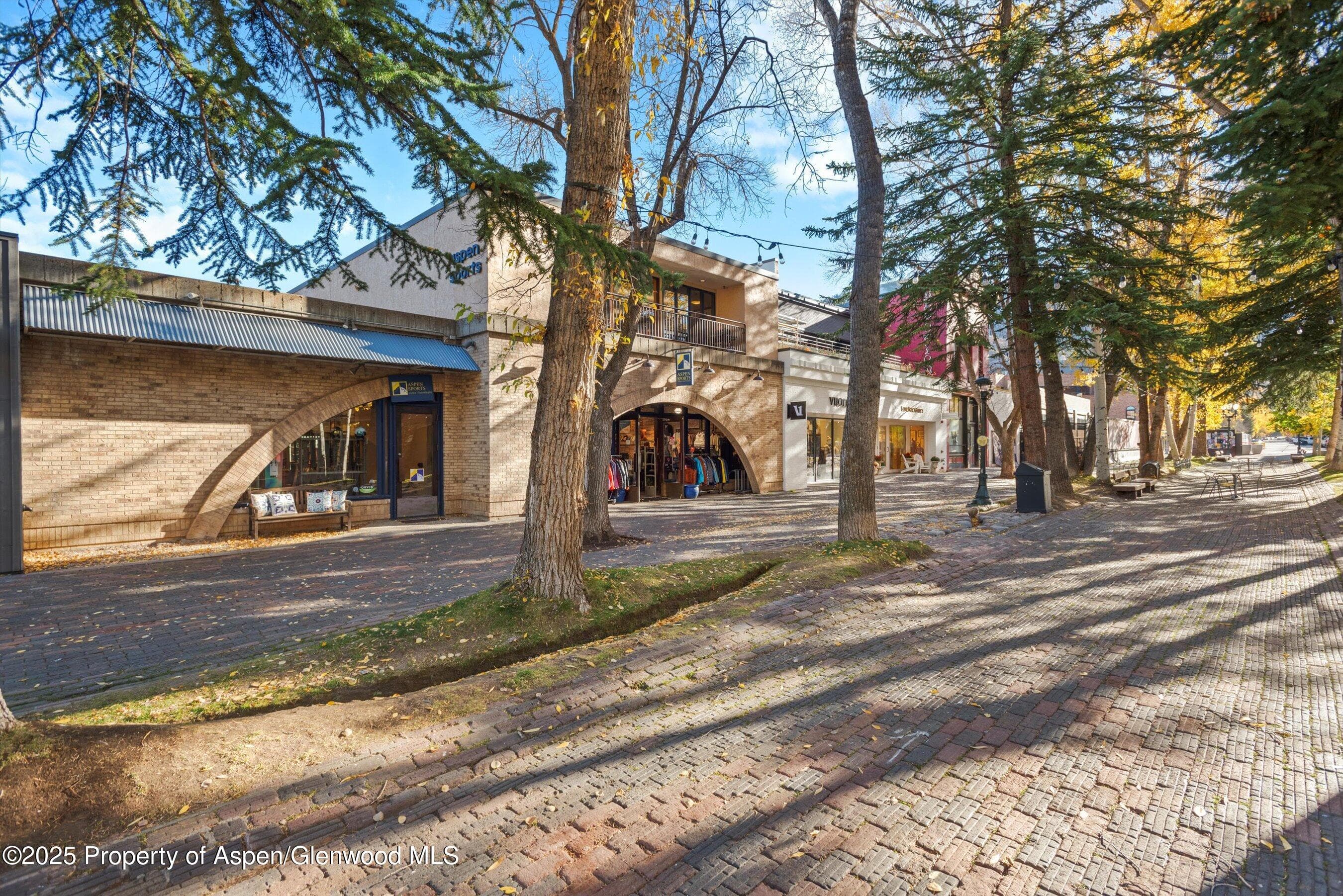 408 E Cooper Avenue, Aspen, CO 81611 - Photo 2