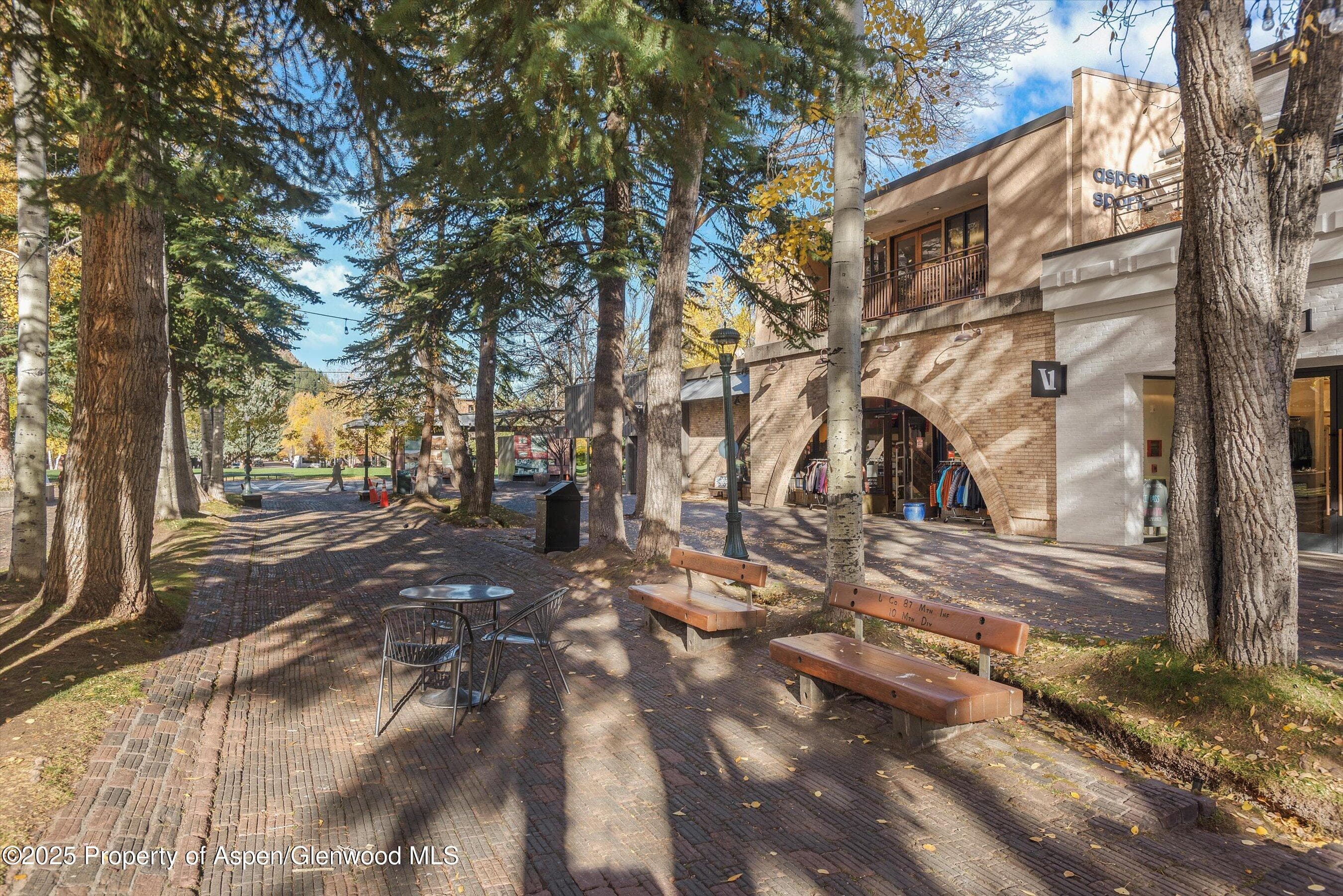 408 E Cooper Avenue, Aspen, CO 81611 - Photo 4