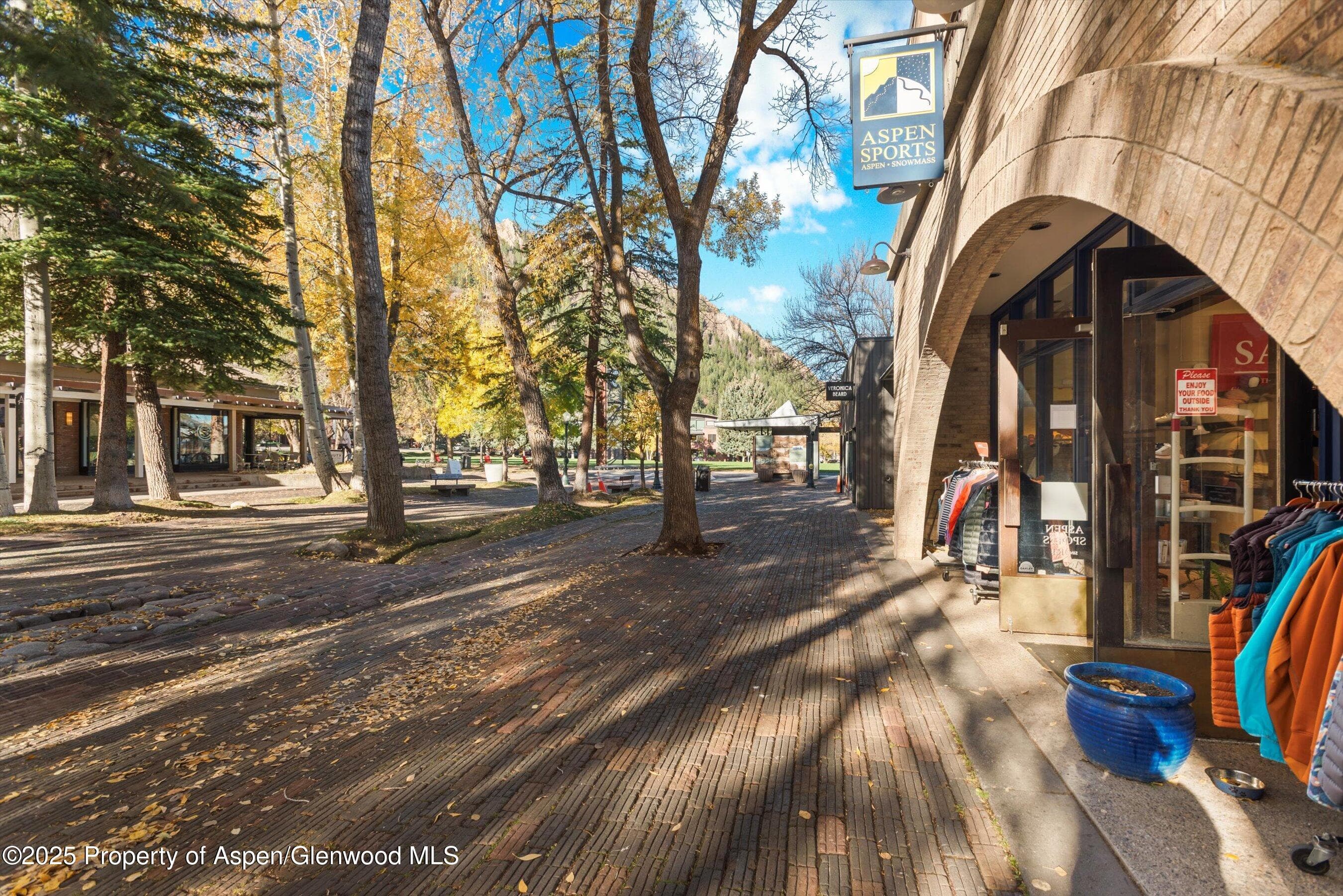 408 E Cooper Avenue, Aspen, CO 81611 - Photo 6