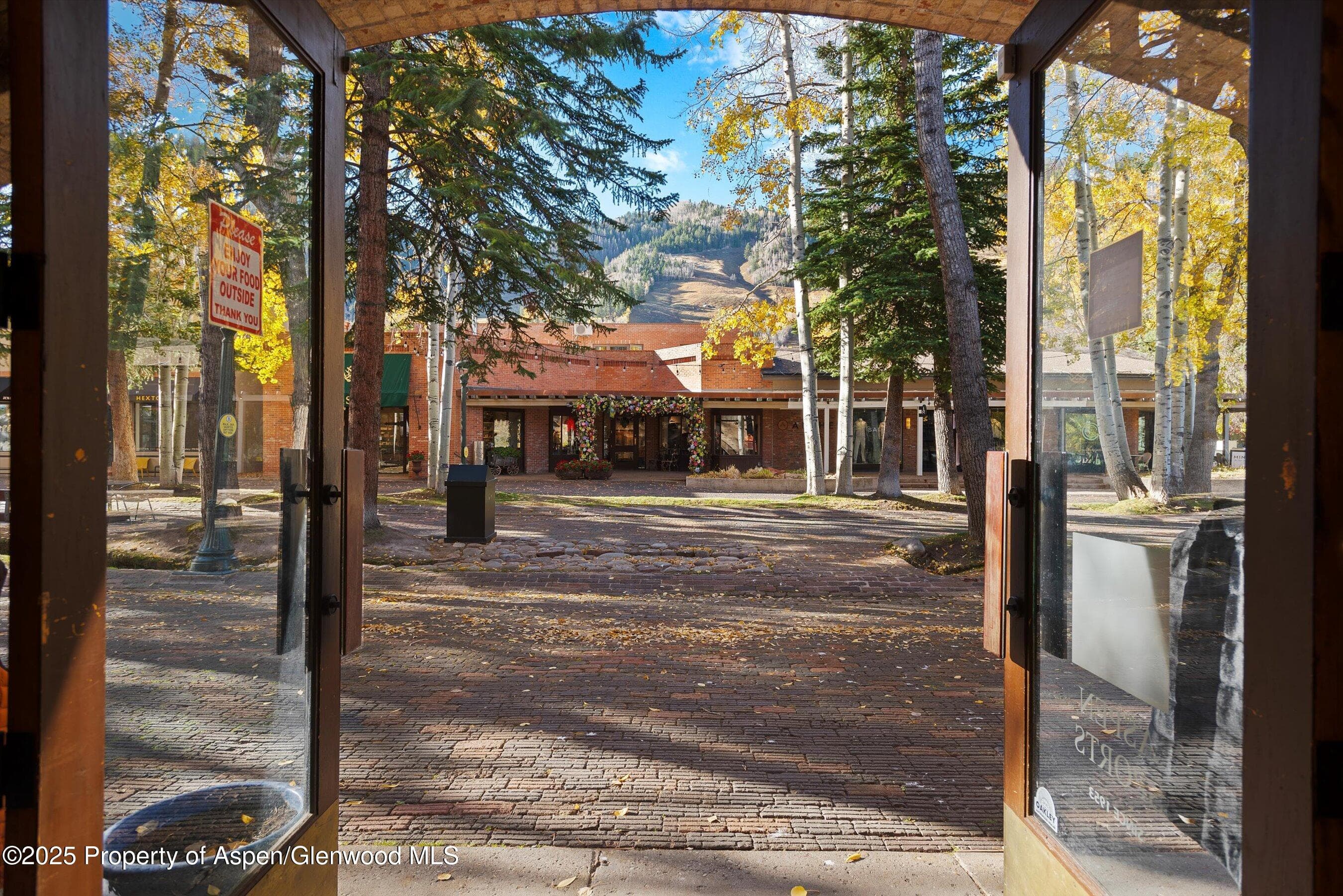 408 E Cooper Avenue, Aspen, CO 81611 - Photo 7