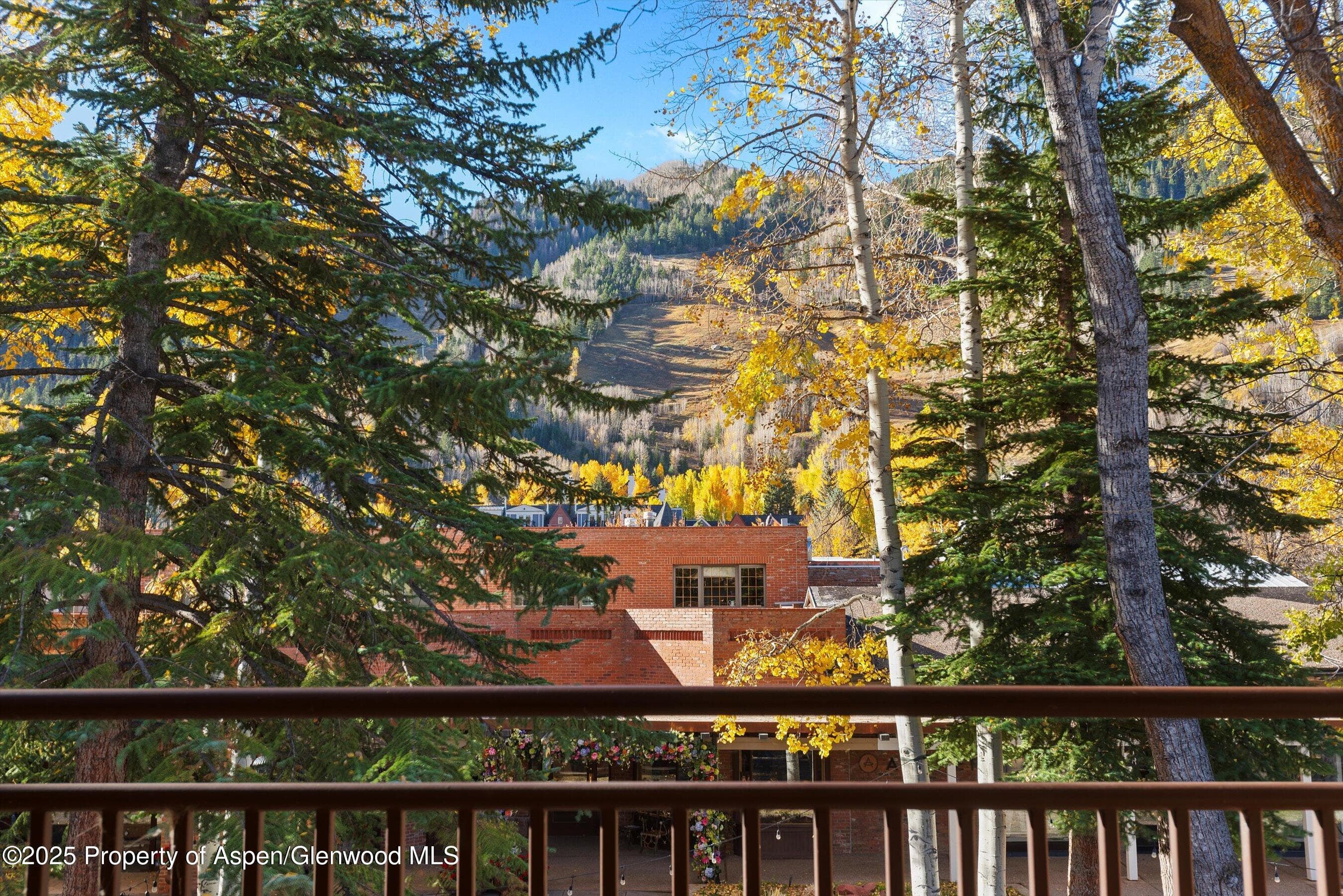 408 E Cooper Avenue, Aspen, CO 81611 - Photo 29