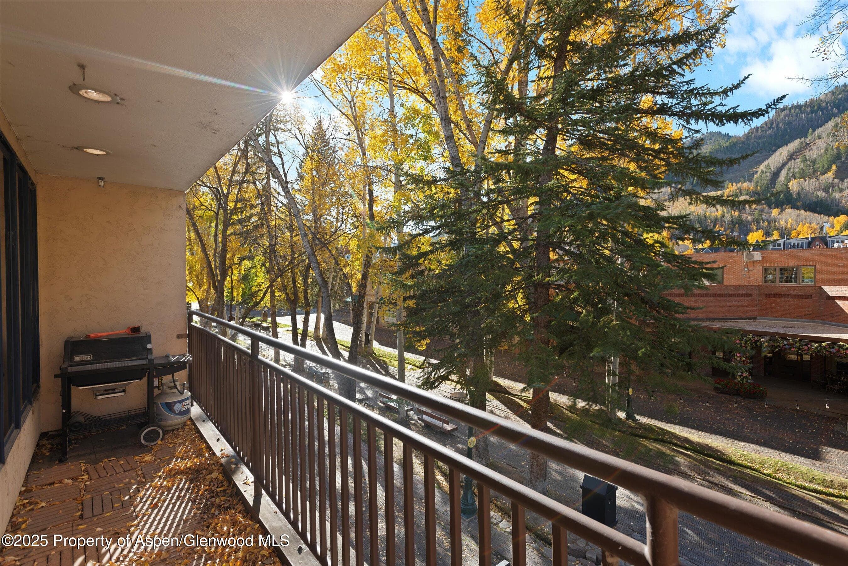 408 E Cooper Avenue, Aspen, CO 81611 - Photo 30
