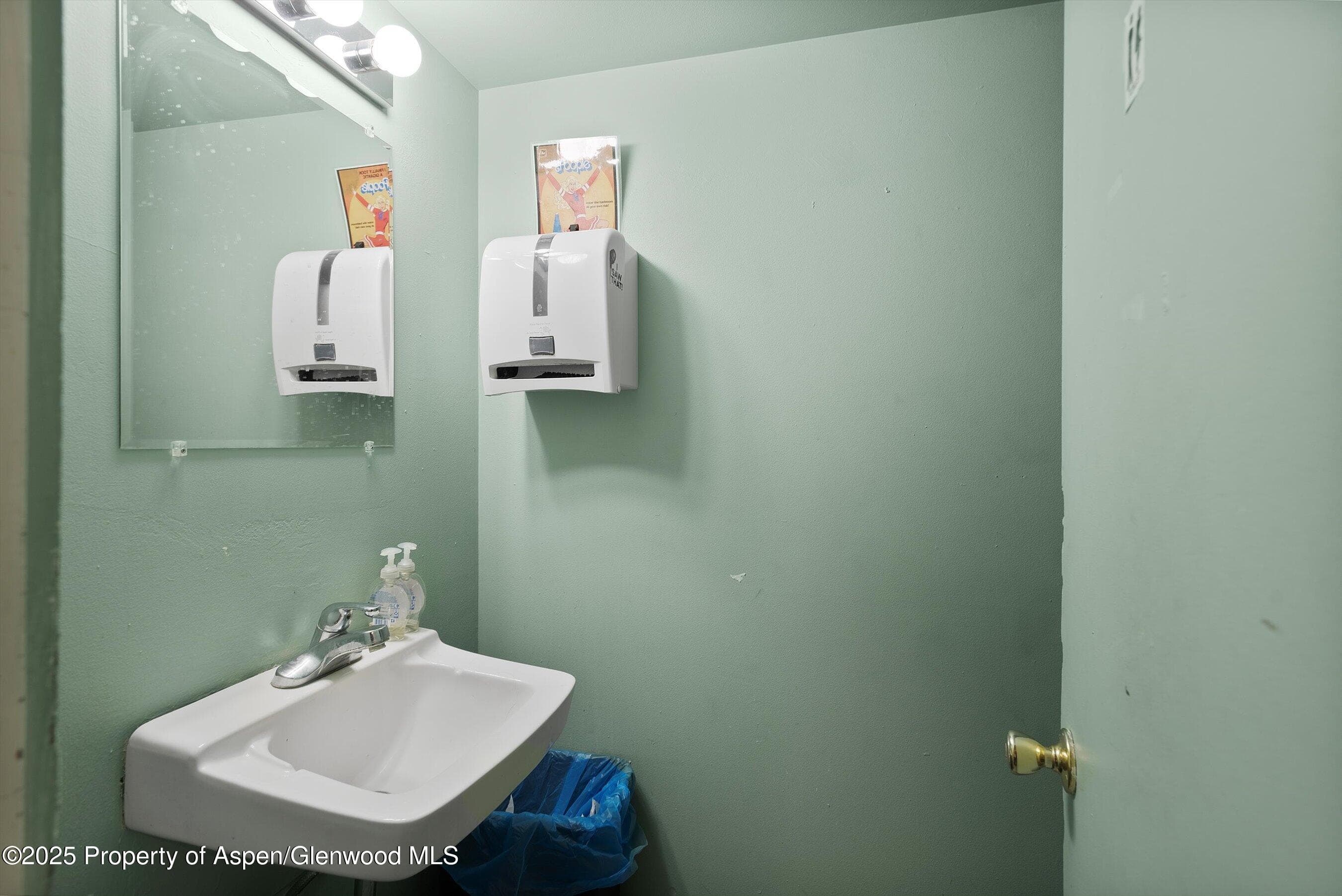 408 E Cooper Avenue, Aspen, CO 81611 - Photo 45