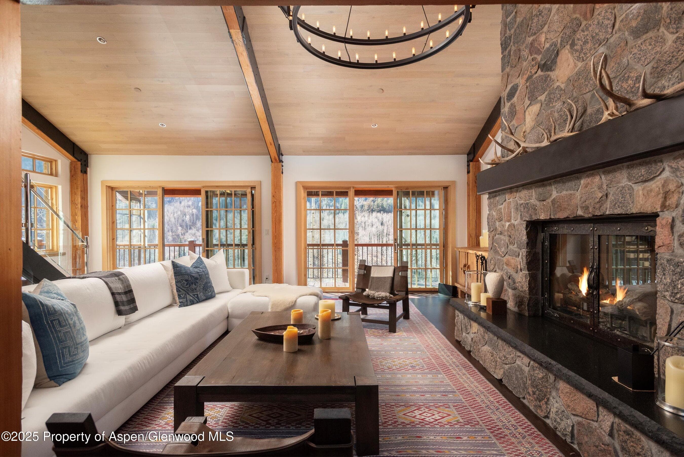 6770 Castle Creek Road, Aspen, CO 81611 - Photo 8