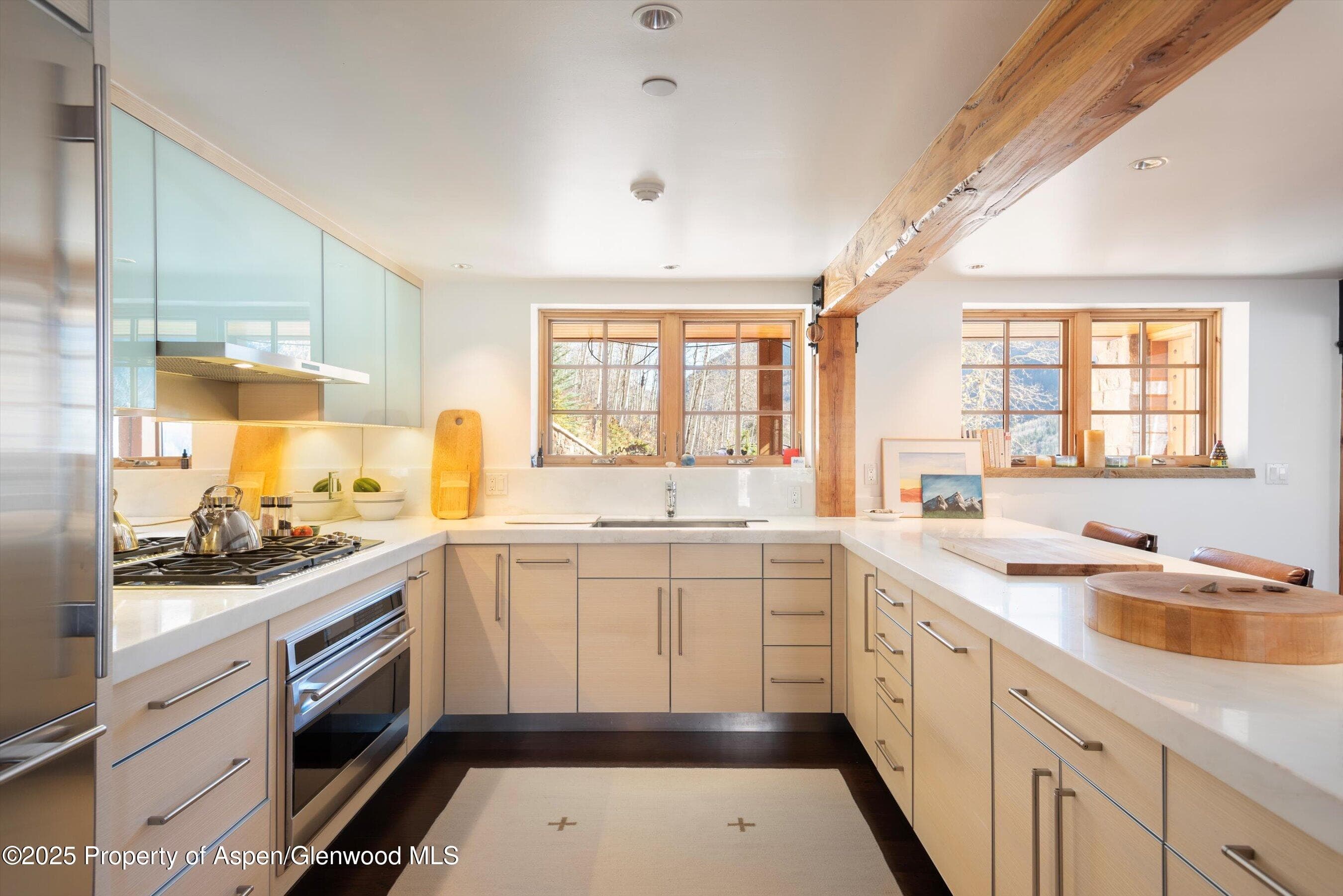 6770 Castle Creek Road, Aspen, CO 81611 - Photo 13