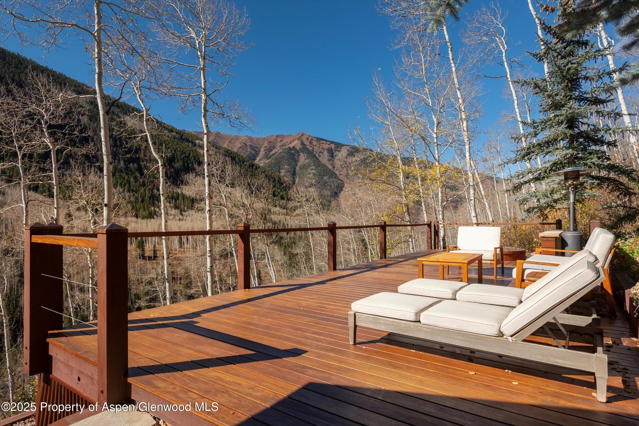 6770 Castle Creek Road, Aspen, CO 81611 - Photo 46