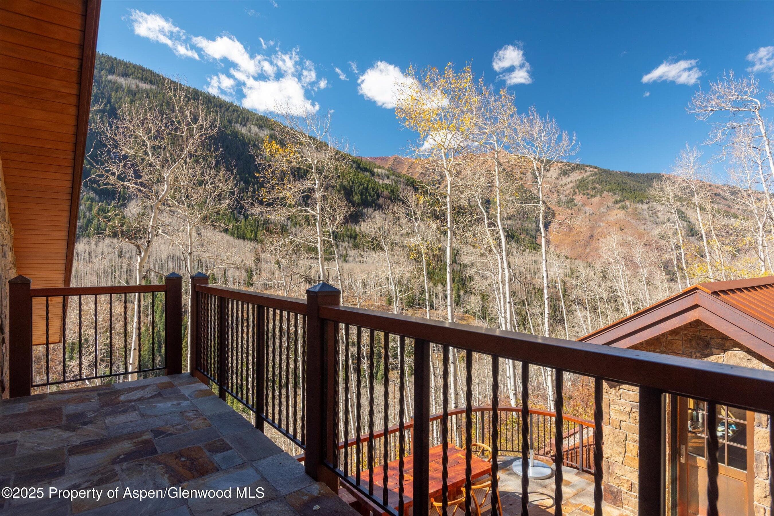 6770 Castle Creek Road, Aspen, CO 81611 - Photo 49
