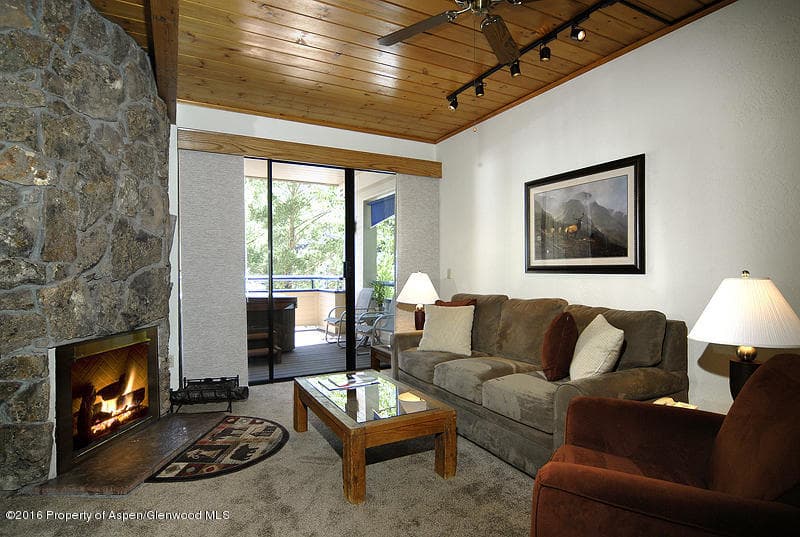 301 E Hyman Avenue #105 (Wks. 2,12,37), Aspen, CO 81611 - Photo 9