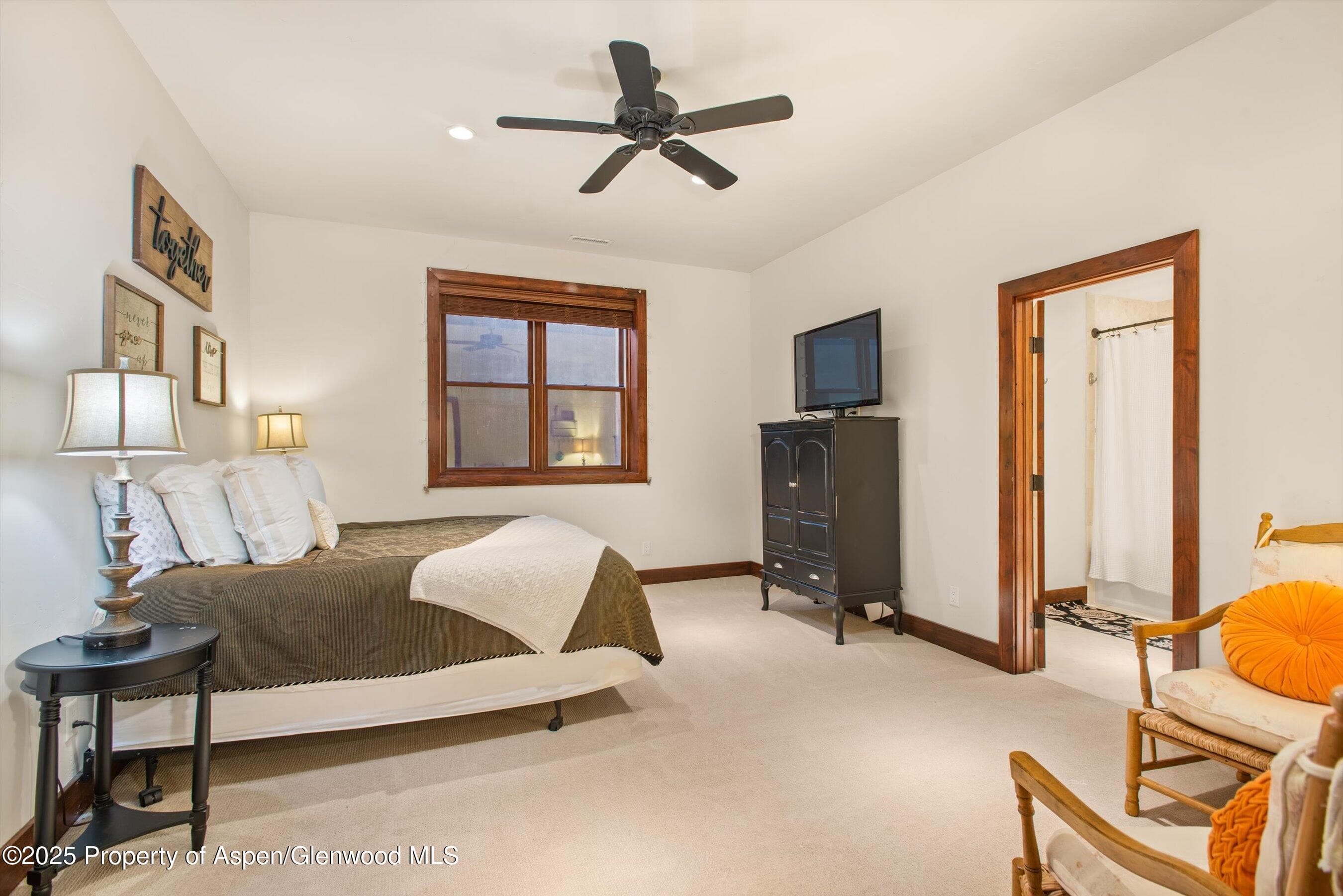 289 SWEETGRASS, Carbondale, CO 81623 - Photo 53
