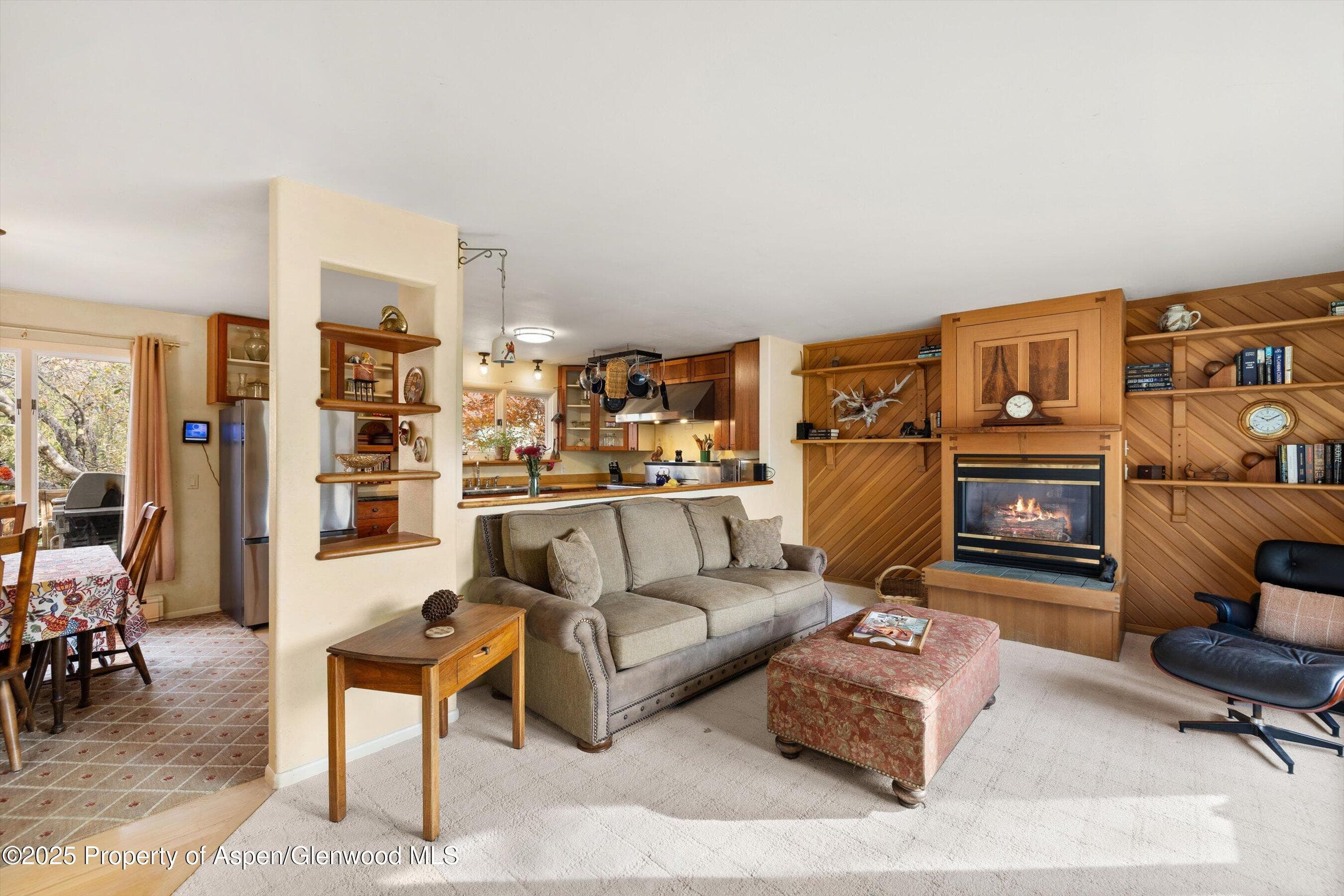 451 Euclid Avenue, Carbondale, CO 81623 - Photo 5