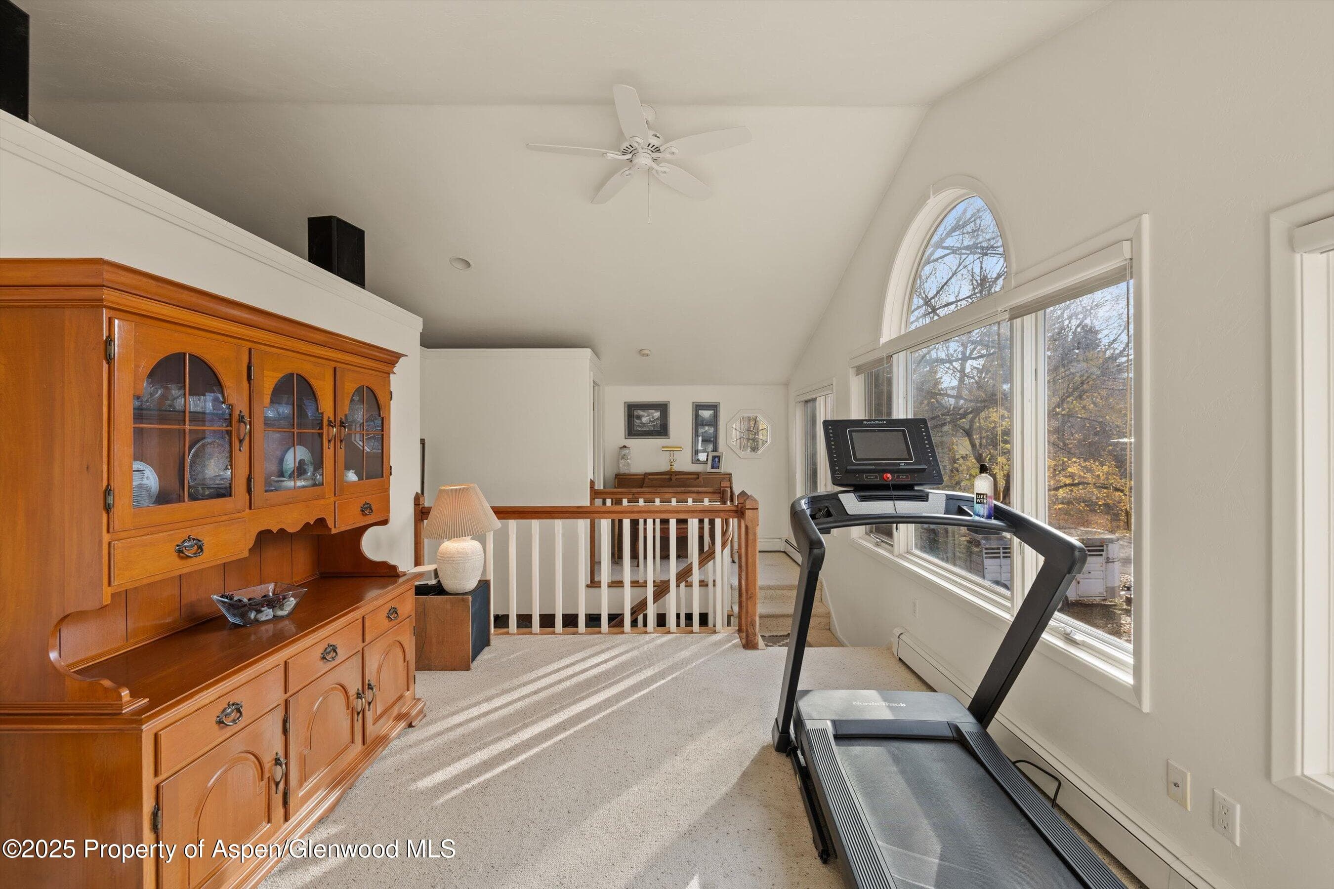 451 Euclid Avenue, Carbondale, CO 81623 - Photo 17