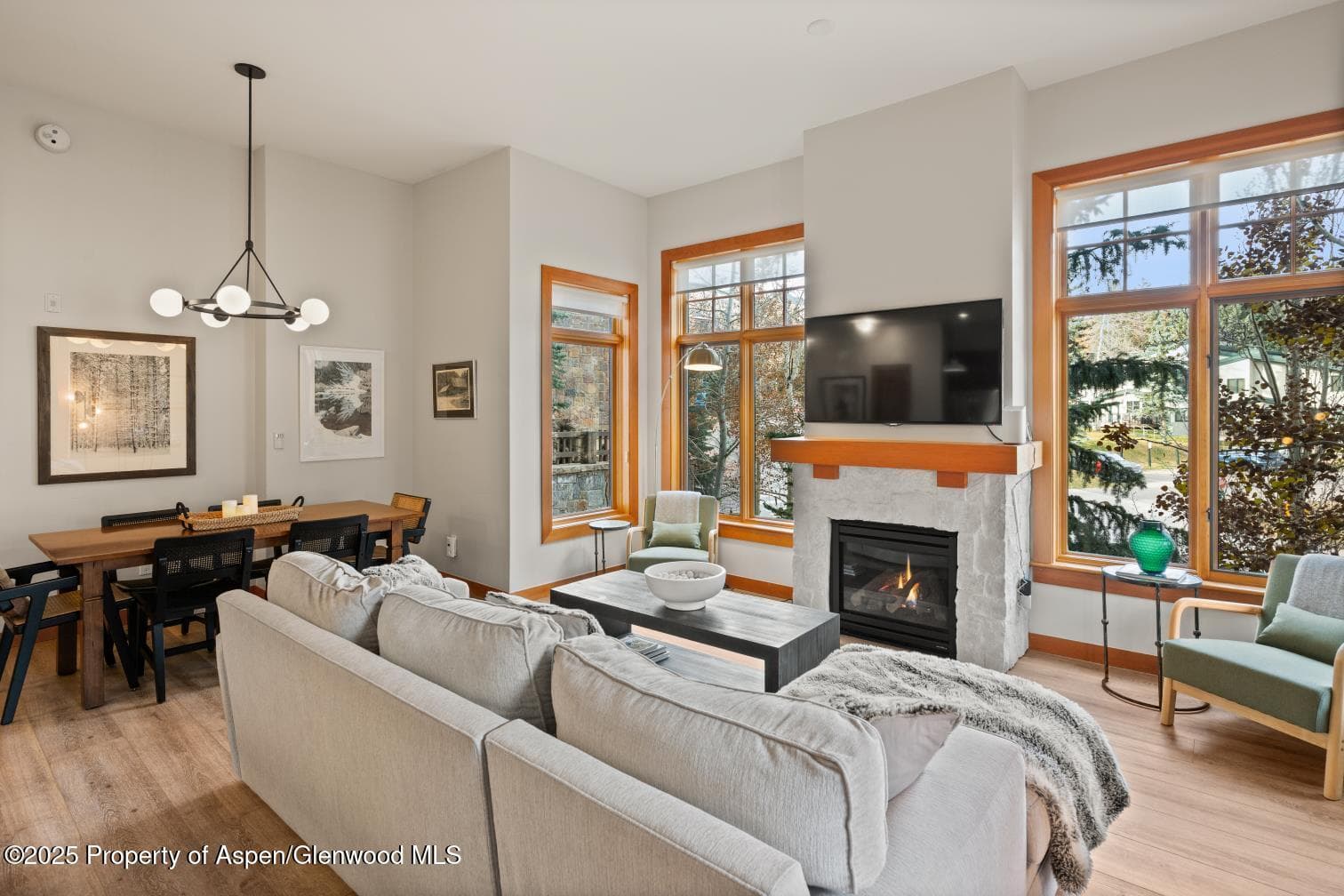 60 carriage 3029, Snowmass Village, CO 81615 - Photo 23