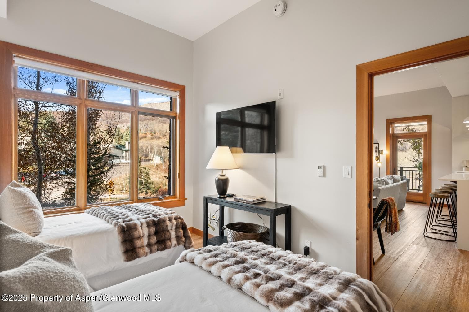 60 carriage 3029, Snowmass Village, CO 81615 - Photo 12