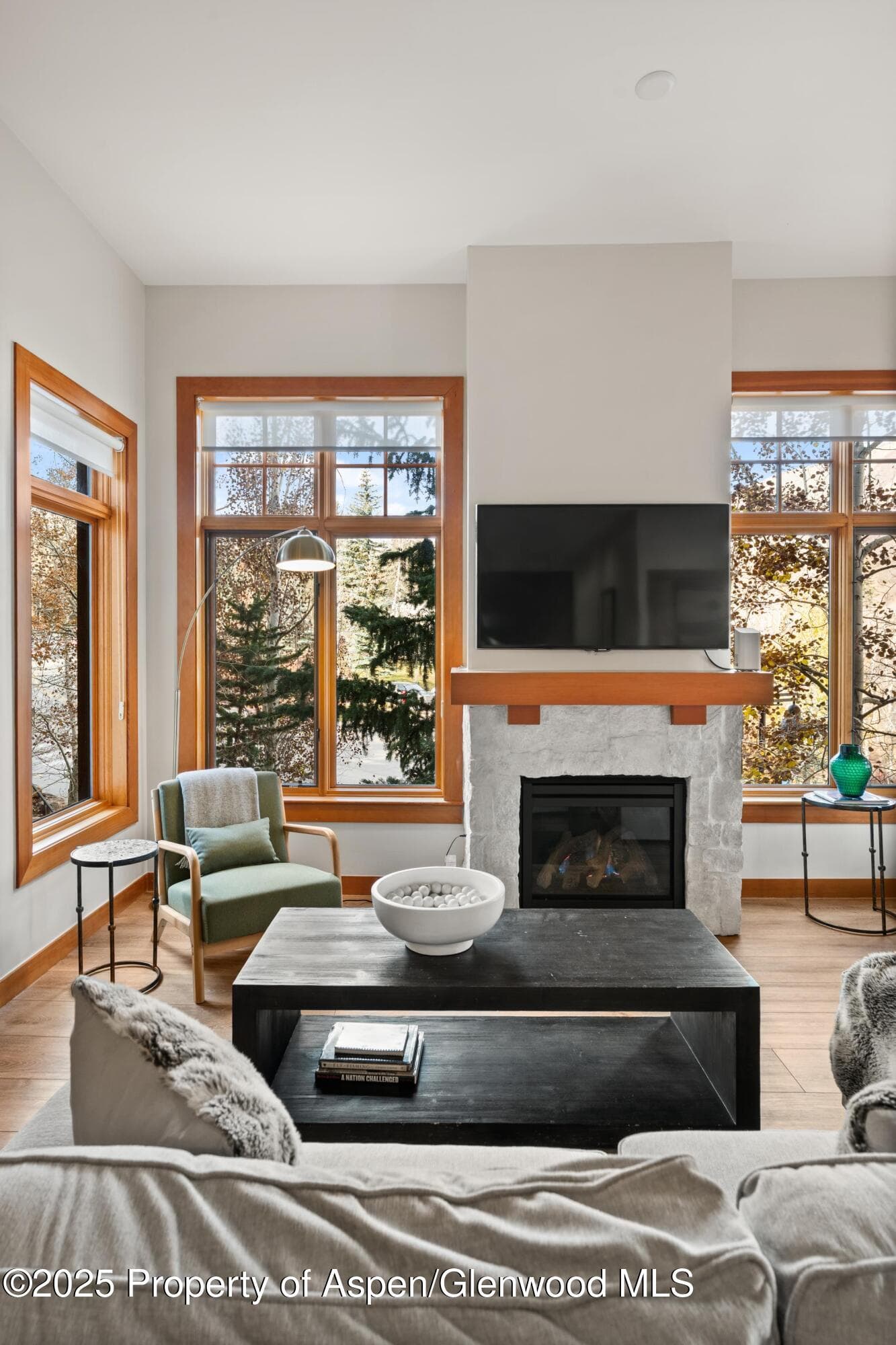 60 carriage 3029, Snowmass Village, CO 81615 - Photo 29