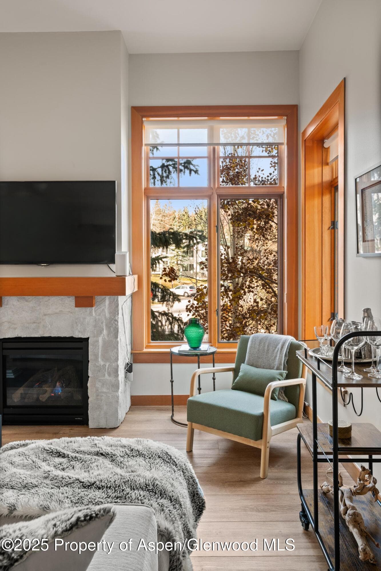 60 carriage 3029, Snowmass Village, CO 81615 - Photo 32