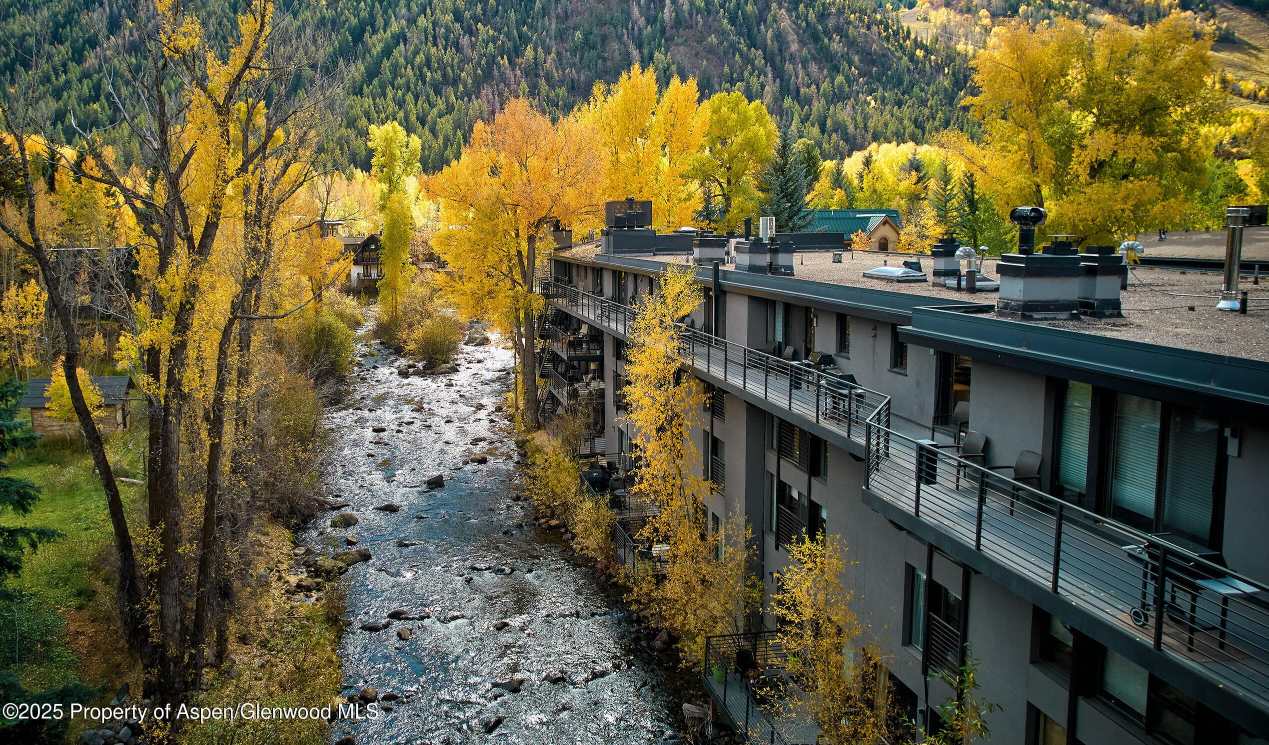 1039 E Cooper Avenue 14A, Aspen, CO 81611 - Photo 21
