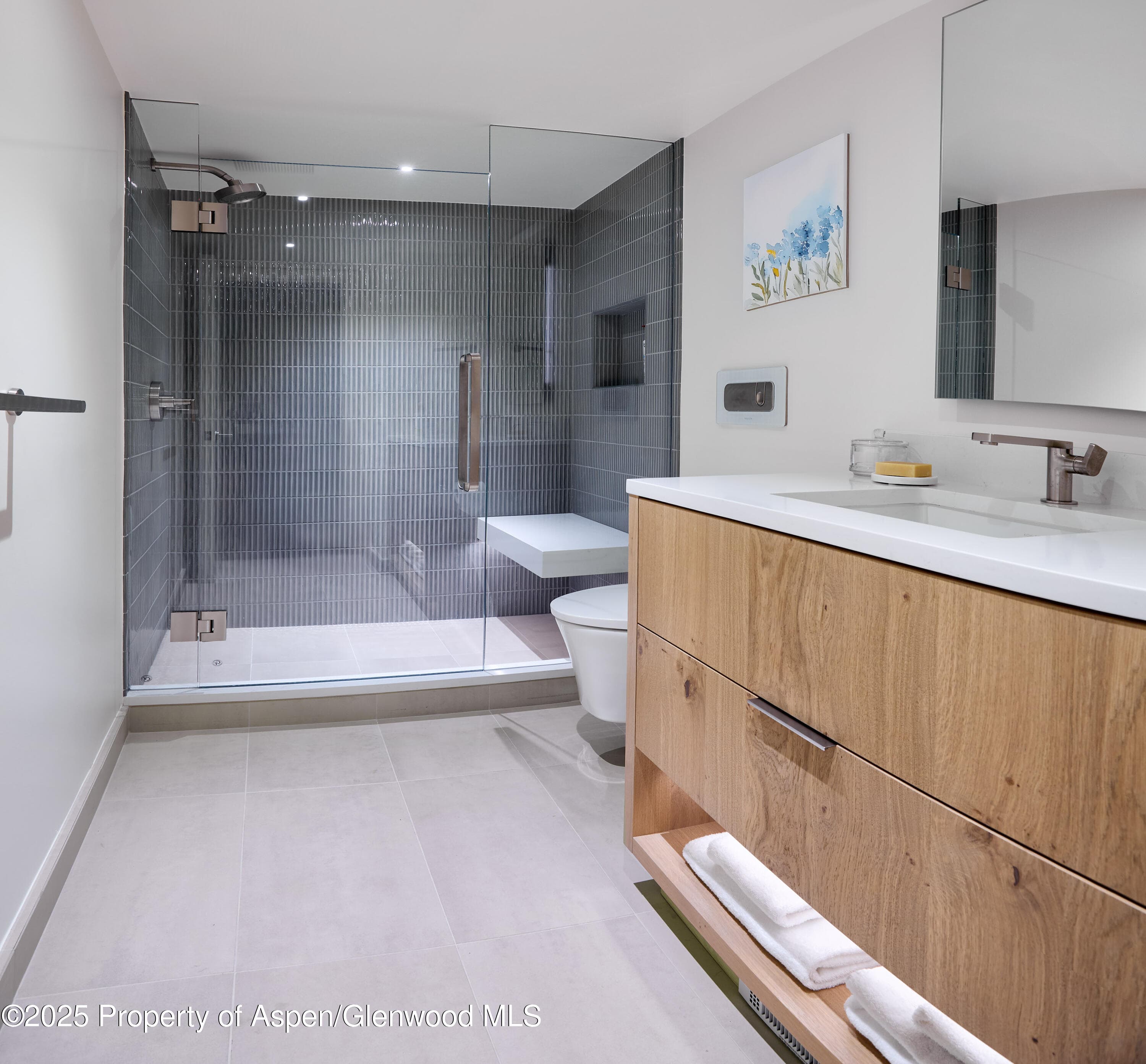1039 E Cooper Avenue 14A, Aspen, CO 81611 - Photo 15