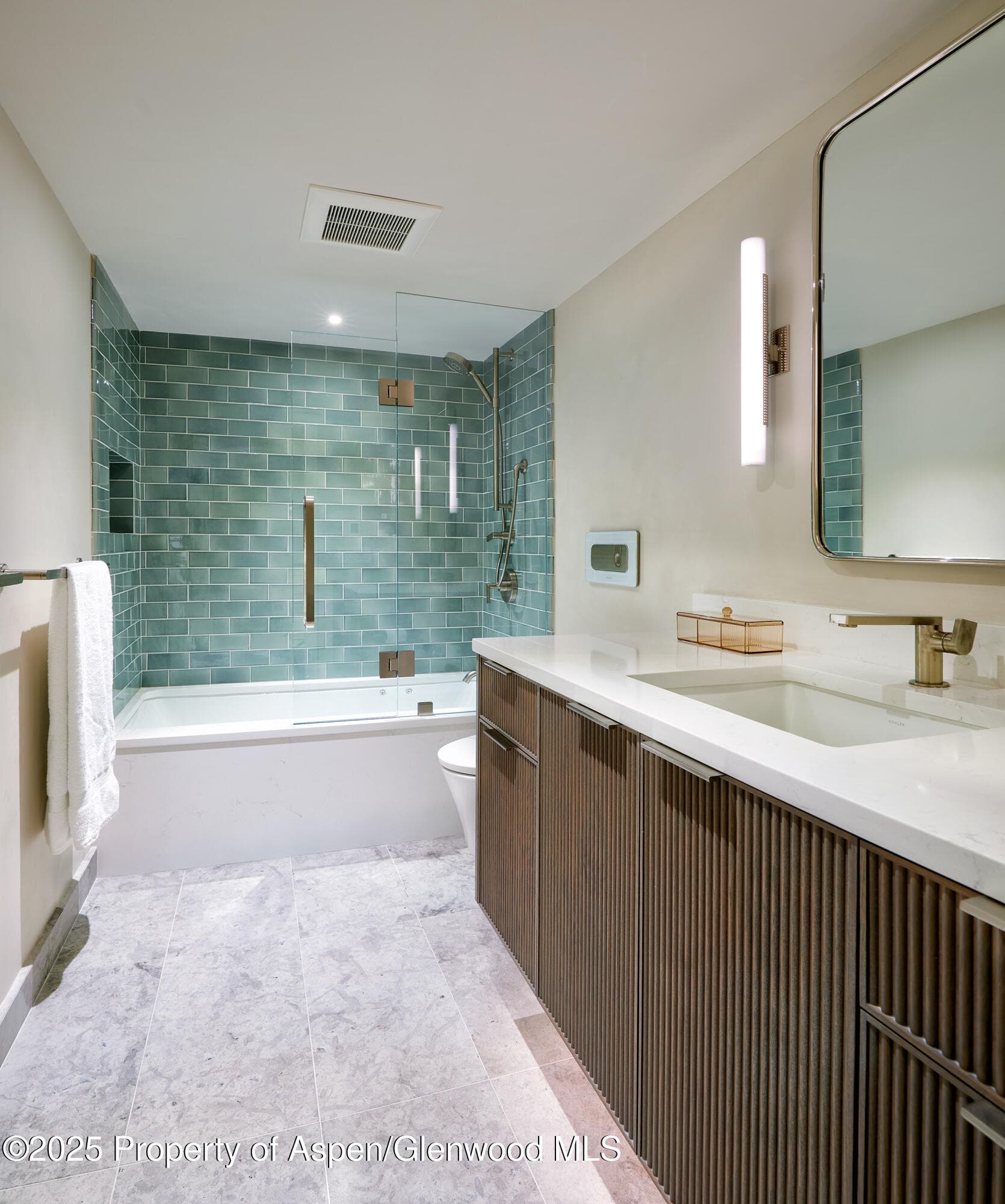 1039 E Cooper Avenue 14A, Aspen, CO 81611 - Photo 16