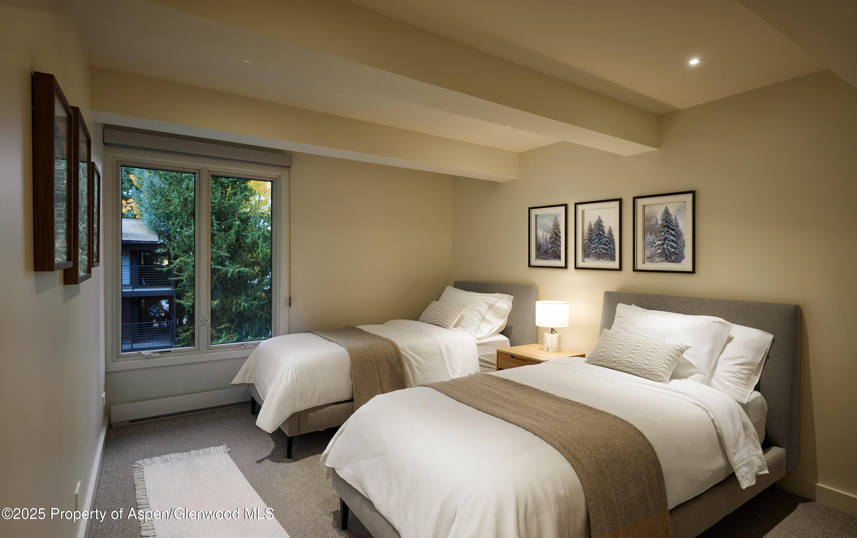 1039 E Cooper Avenue 14A, Aspen, CO 81611 - Photo 13