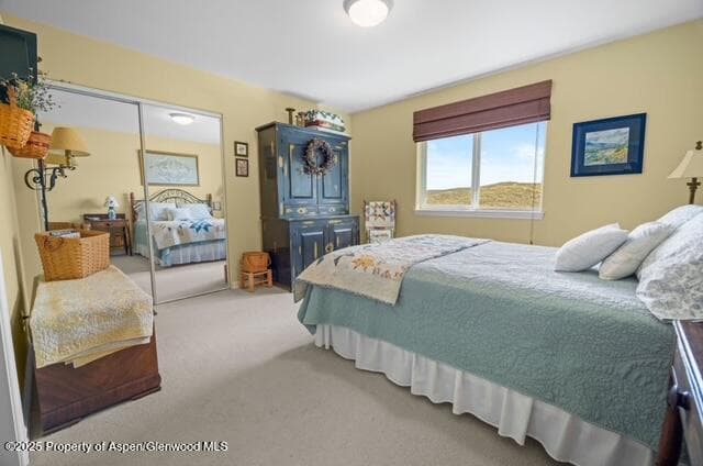 1040 Prong Horn Road, Craig, CO 81625 - Photo 48