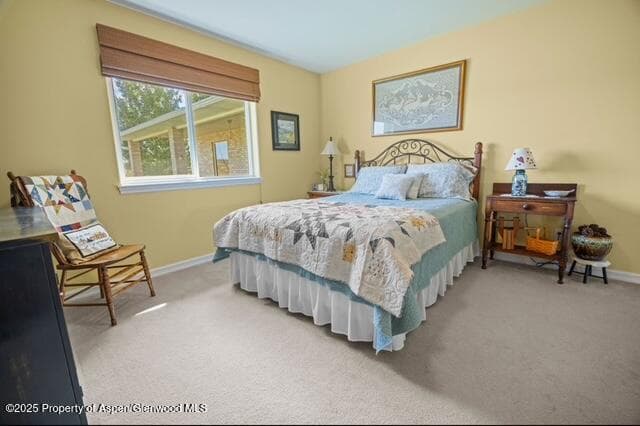 1040 Prong Horn Road, Craig, CO 81625 - Photo 49
