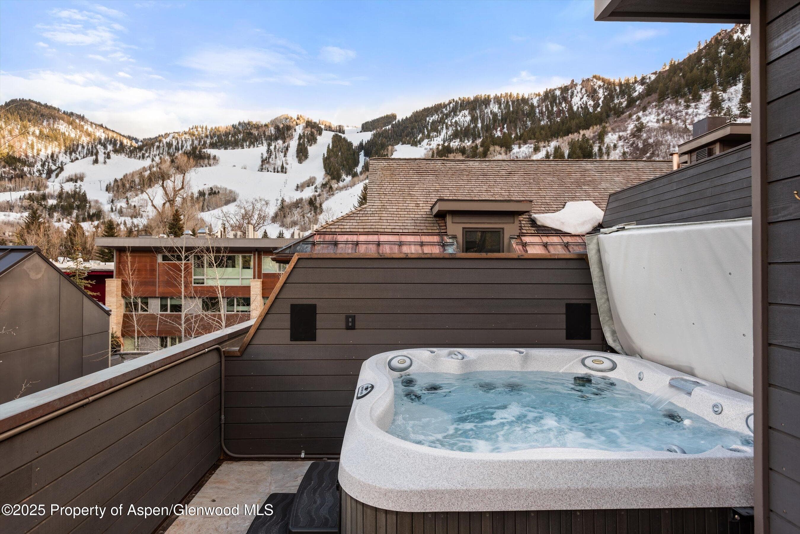 304 S Garmisch Street, Aspen, CO 81611 - Photo 36